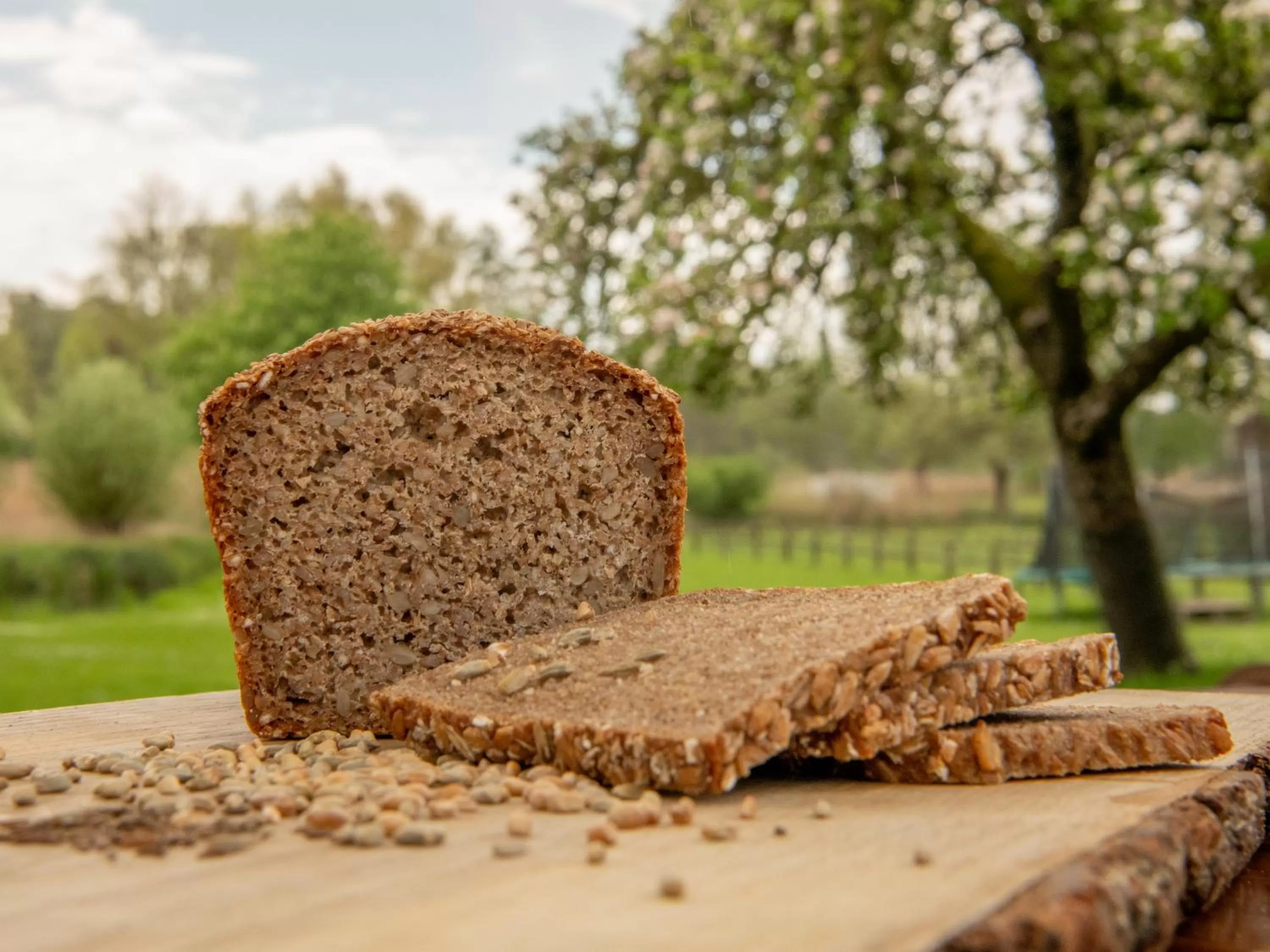 Breakfast in Landgasthof Kasch - Hotel und Restaurant