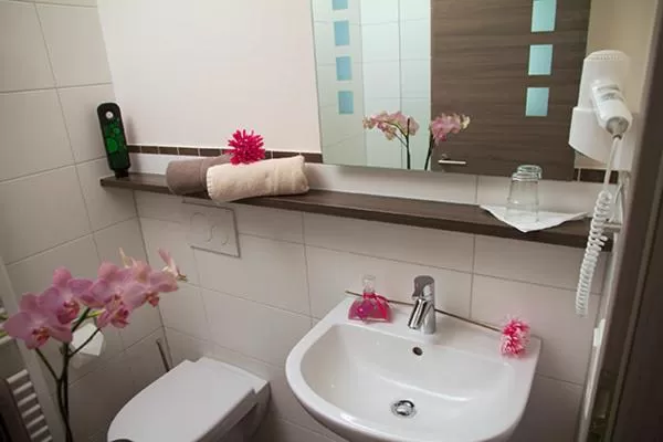 Bathroom in Lohauserhof - Biohof und Hotel