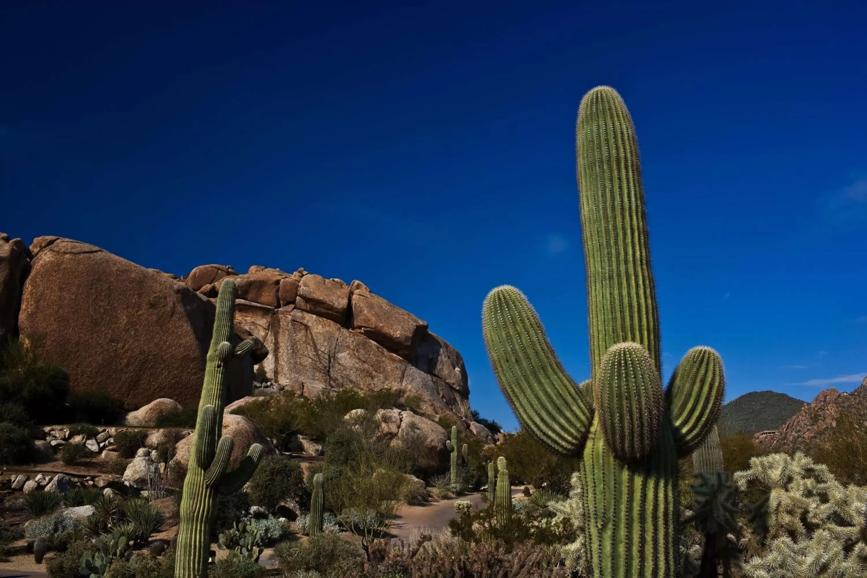 Property building in Boulders Resort & Spa Scottsdale, Curio Collection by Hilton