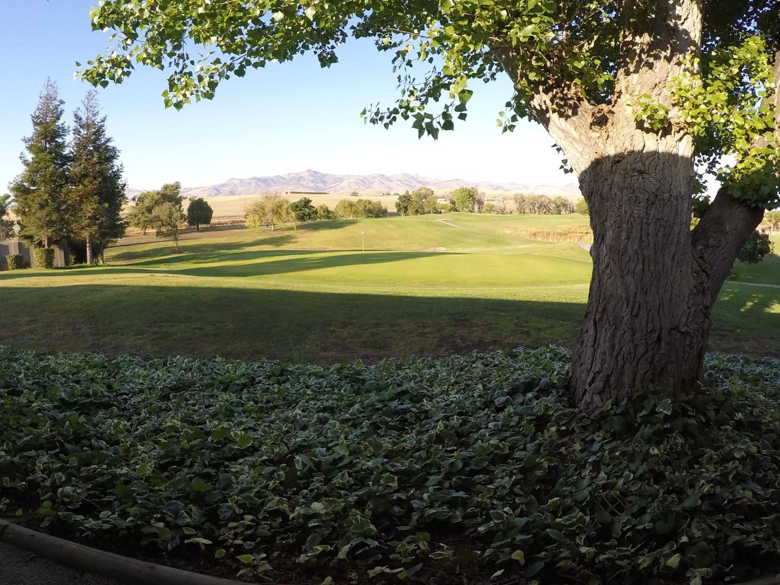 Mountain view in Ridgemark Golf Club and Resort