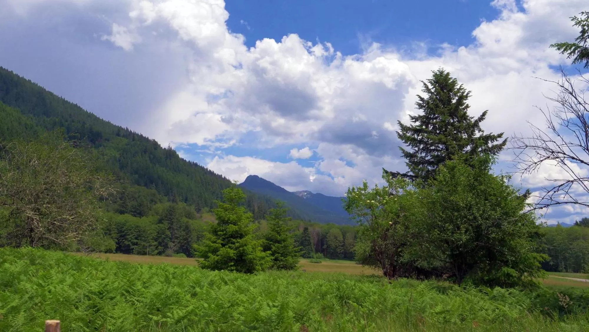 Natural landscape in Paradise Village