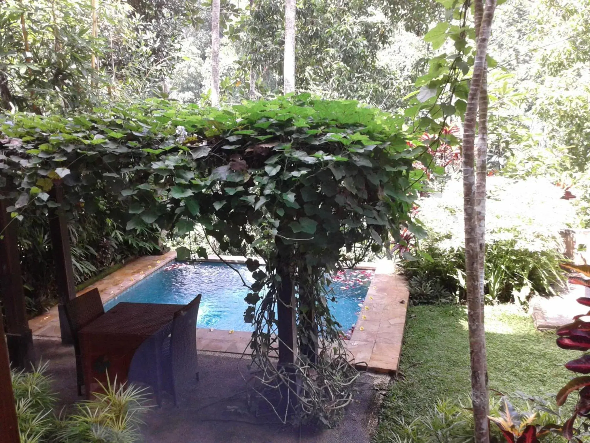 Swimming Pool in Anahata Villas and Spa Resort