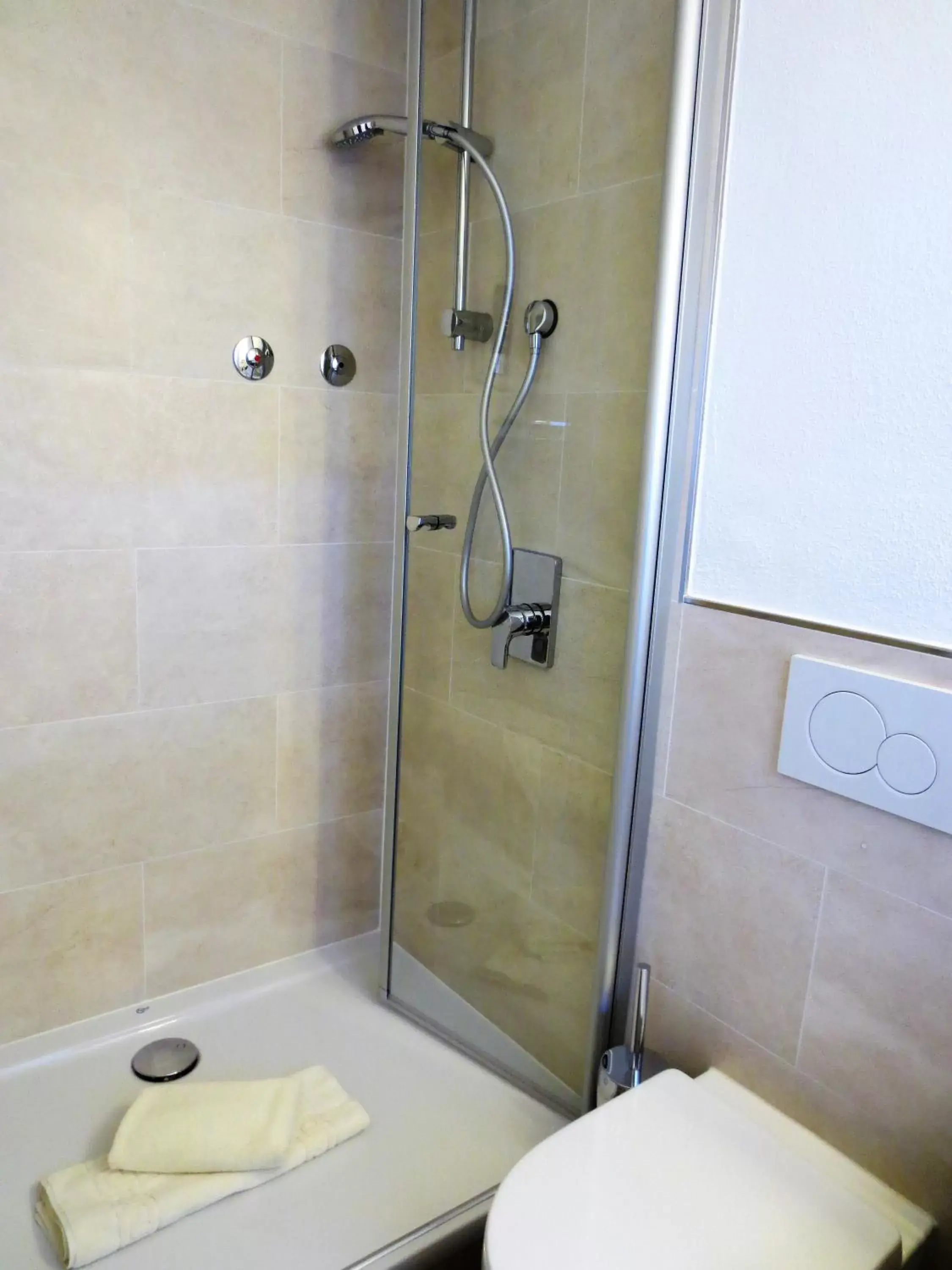 Shower, Bathroom in Hotel Alp Inn