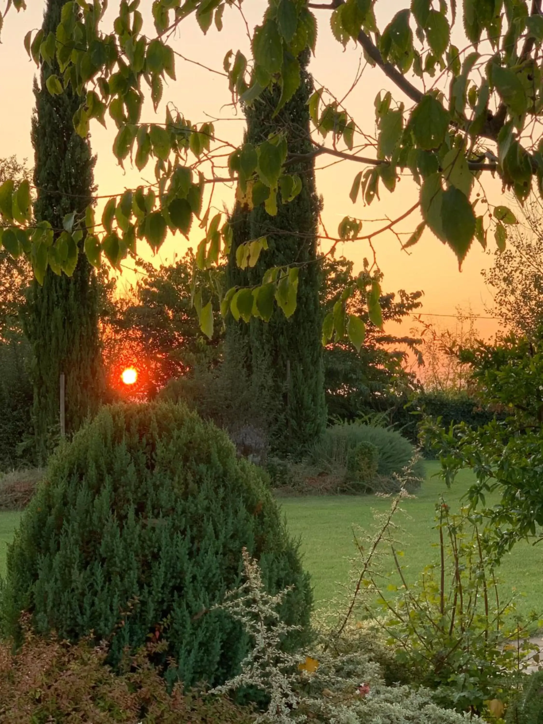 Garden in B&B Beauty House