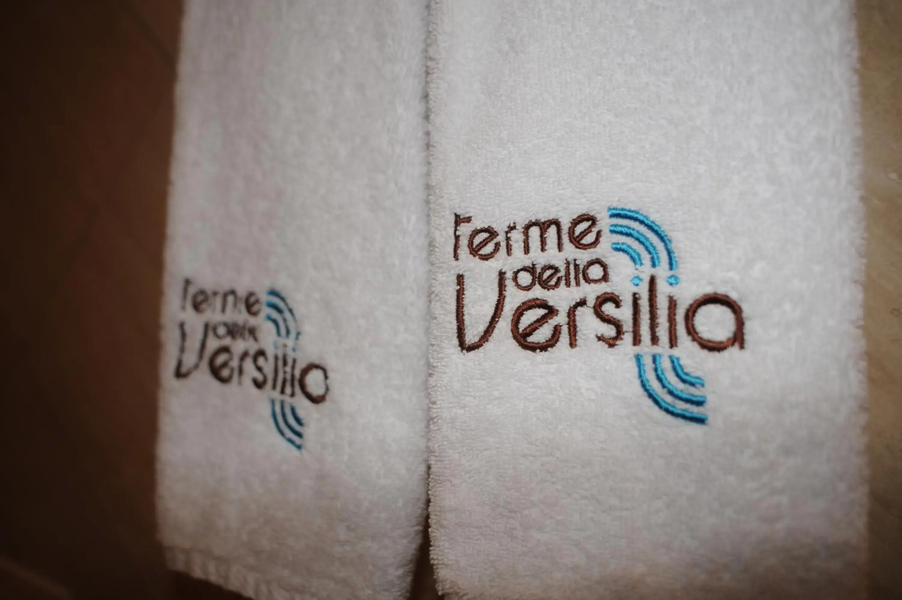 Property Logo/Sign in Hotel Villa Undulna - Terme della Versilia