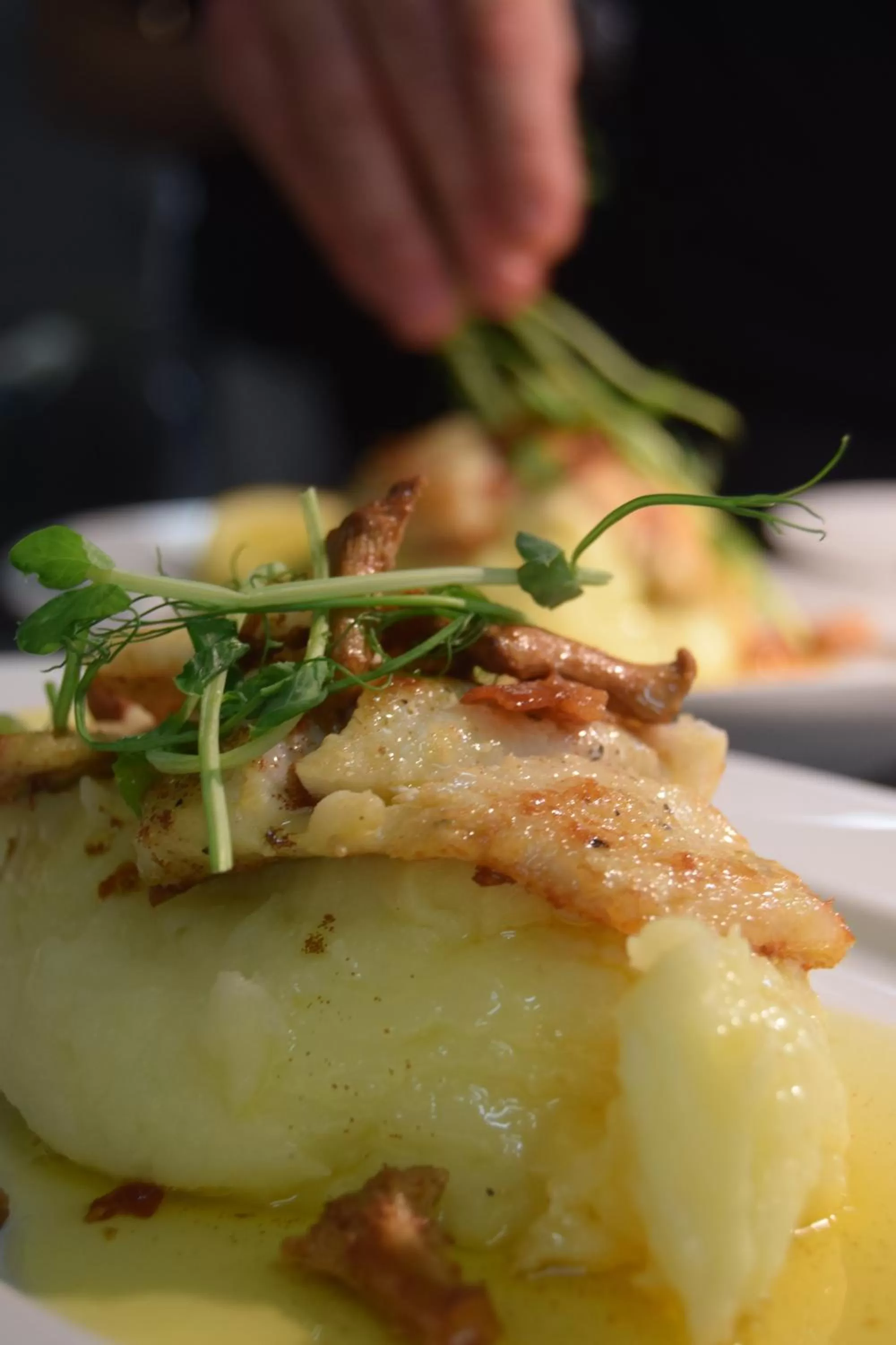 Food in Snöå Bruk Hotell och konferens