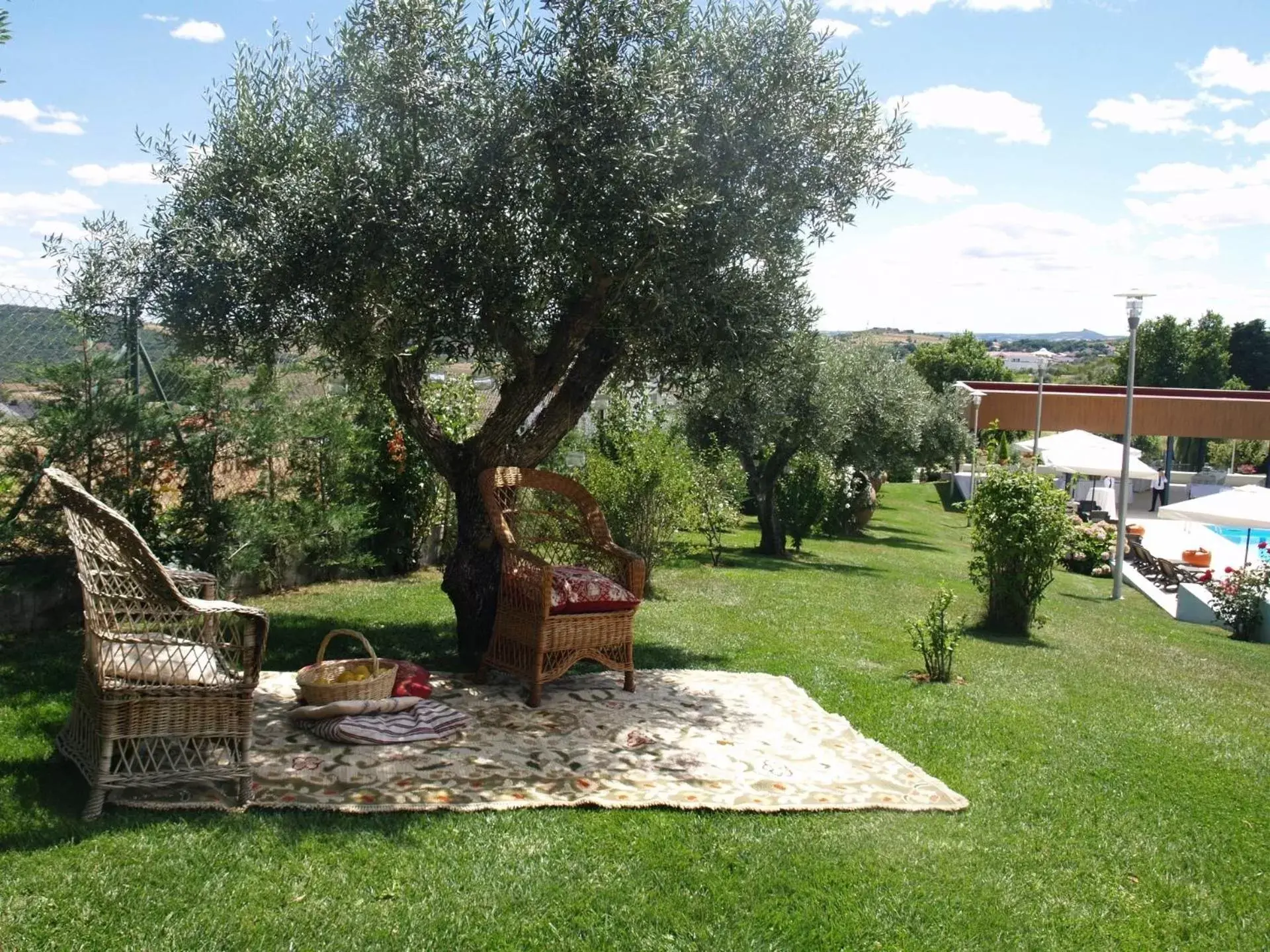 Garden view, Garden in Hotel Estalagem Turismo