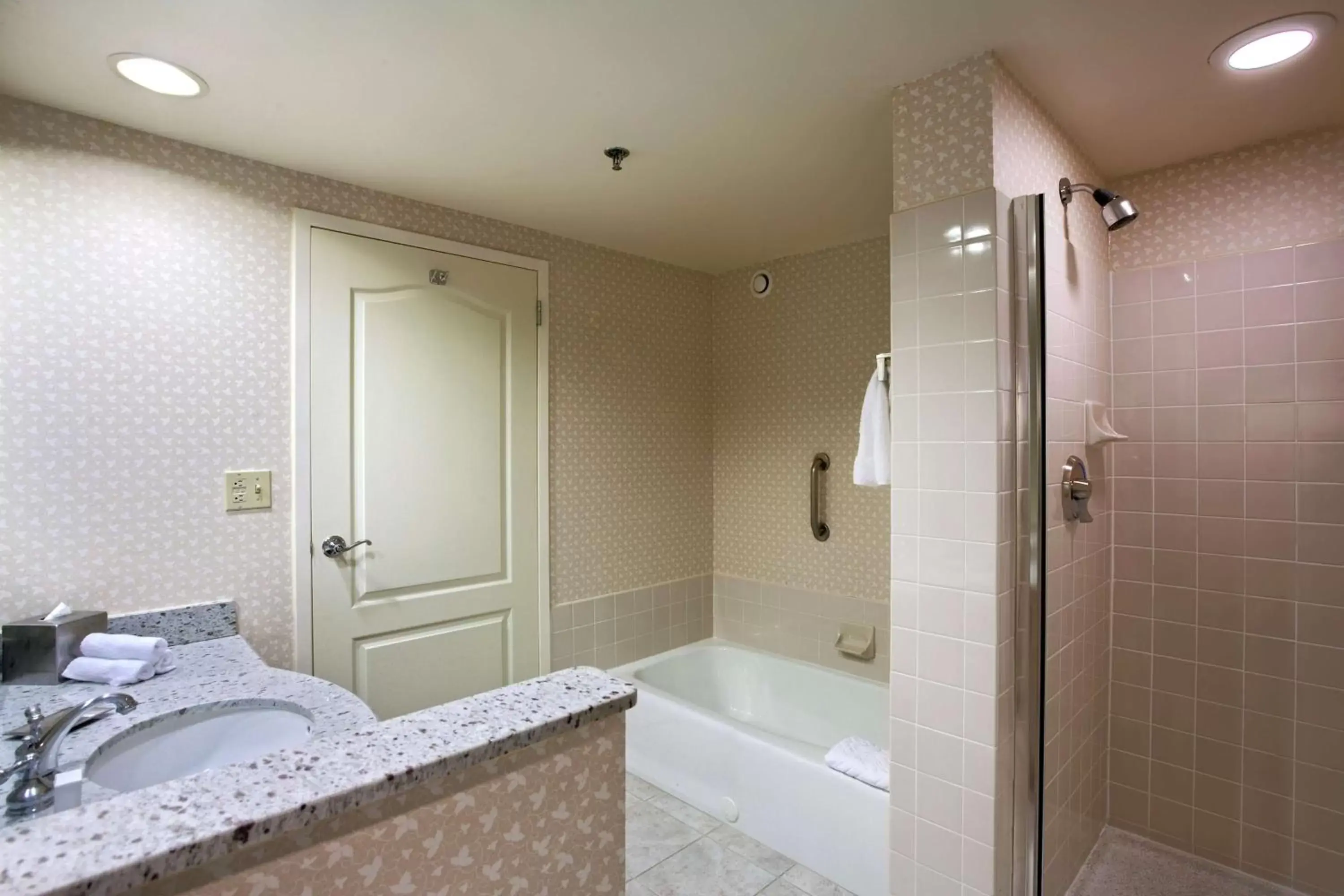 Bathroom in Hilton Suites Chicago/Oakbrook Terrace