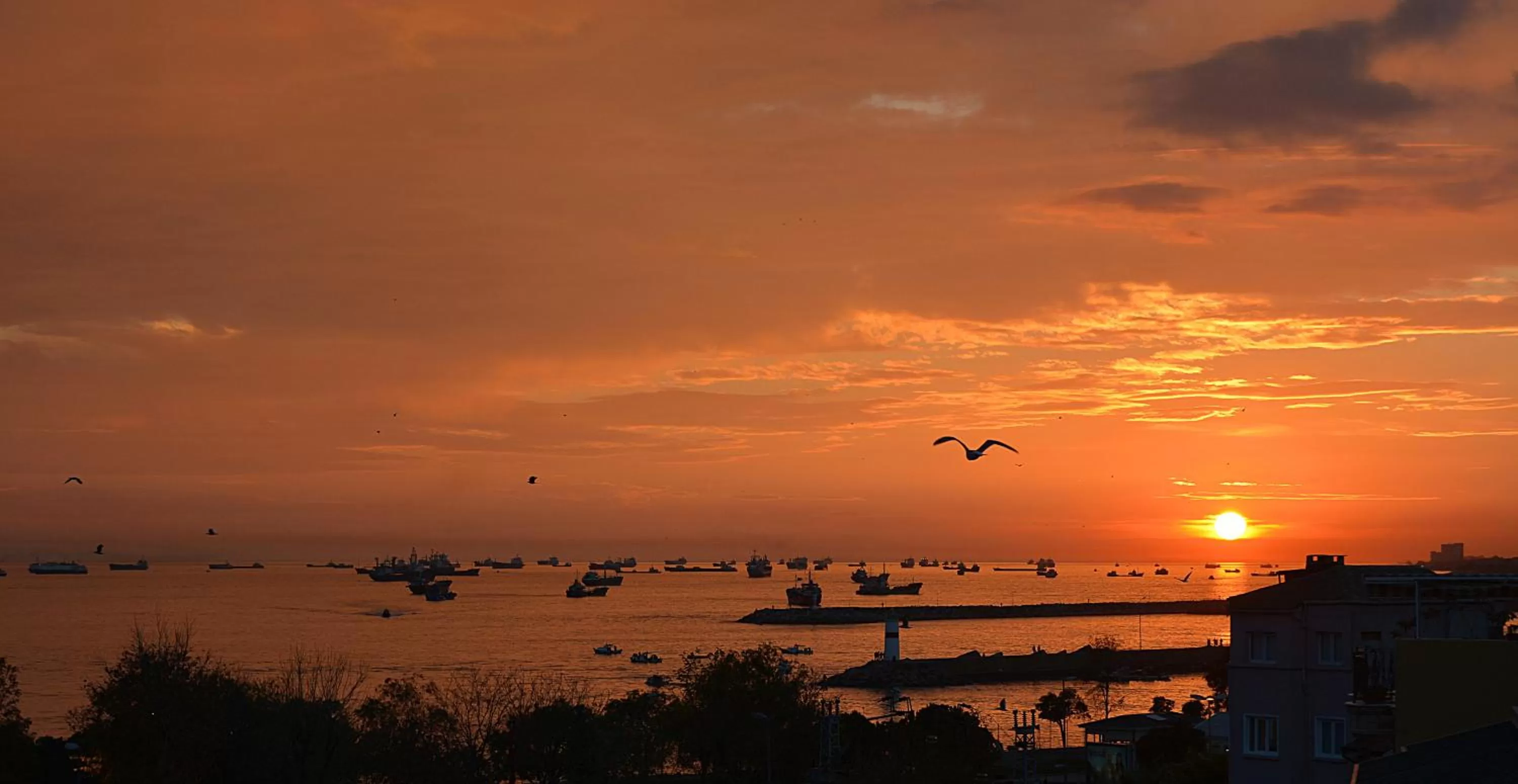 View (from property/room) in Antea Palace Hotel & Spa