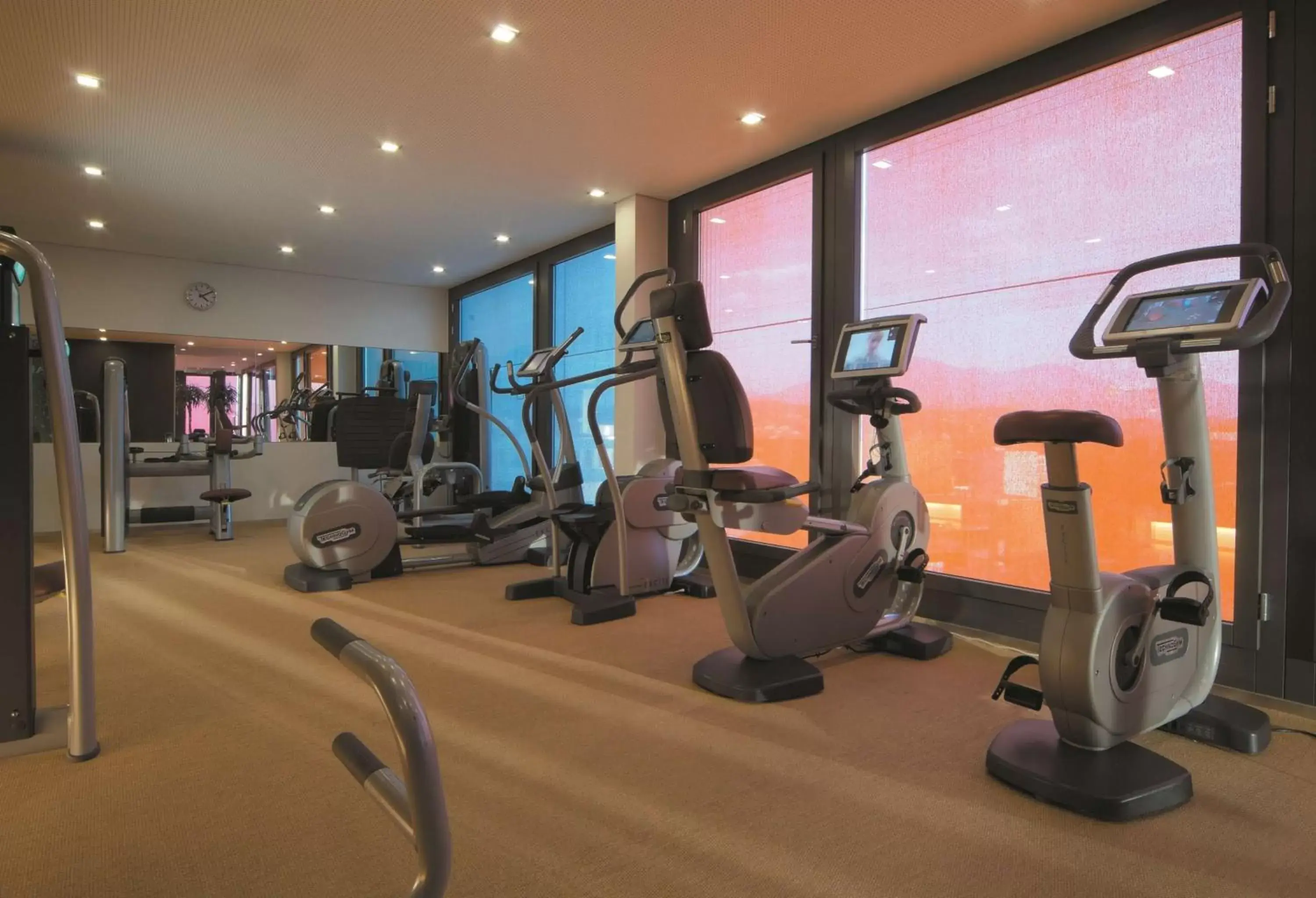 Activities, Fitness Center/Facilities in Radisson Blu Hotel, Lucerne