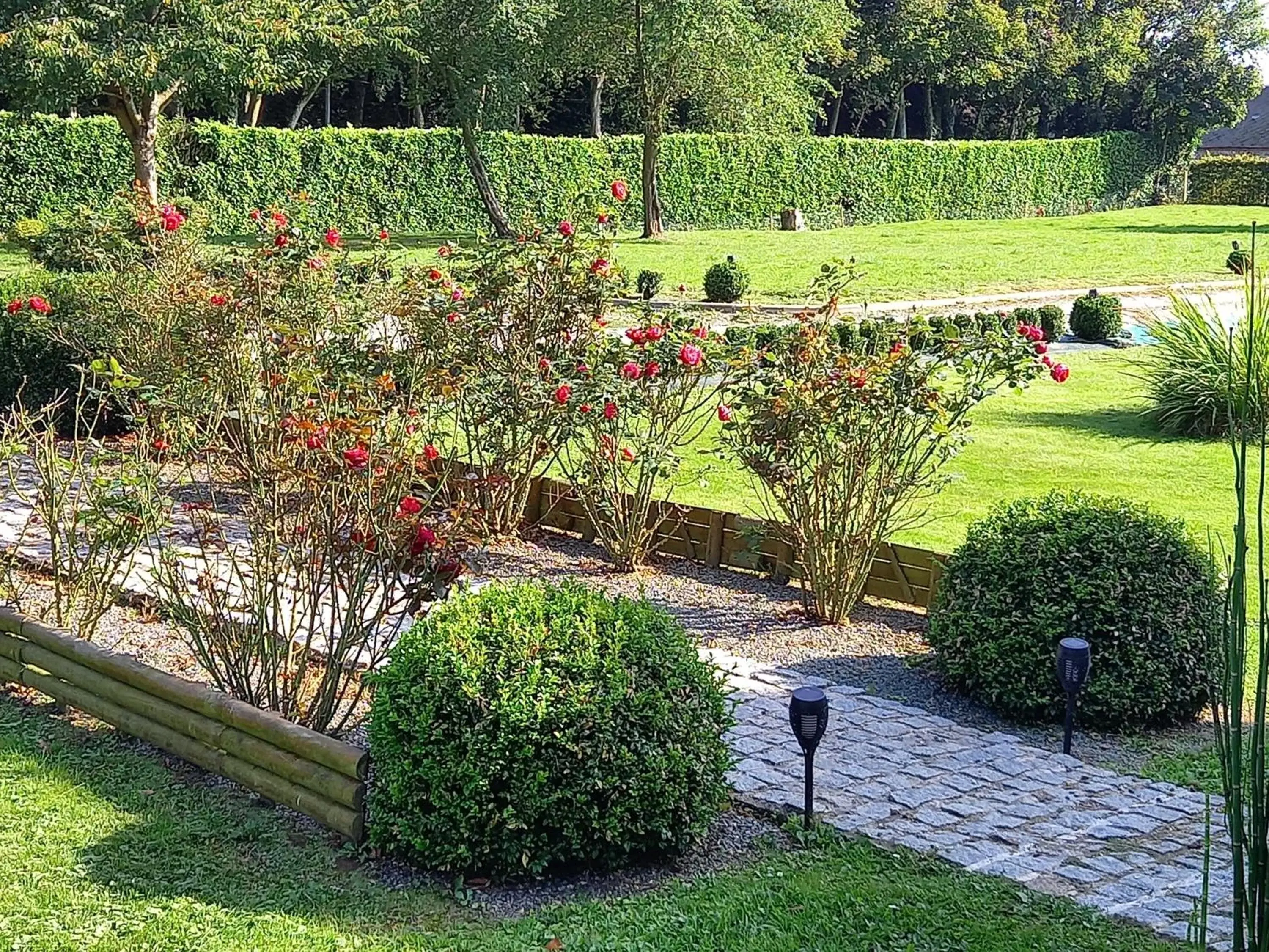 Garden in chambres et gites d'étretat