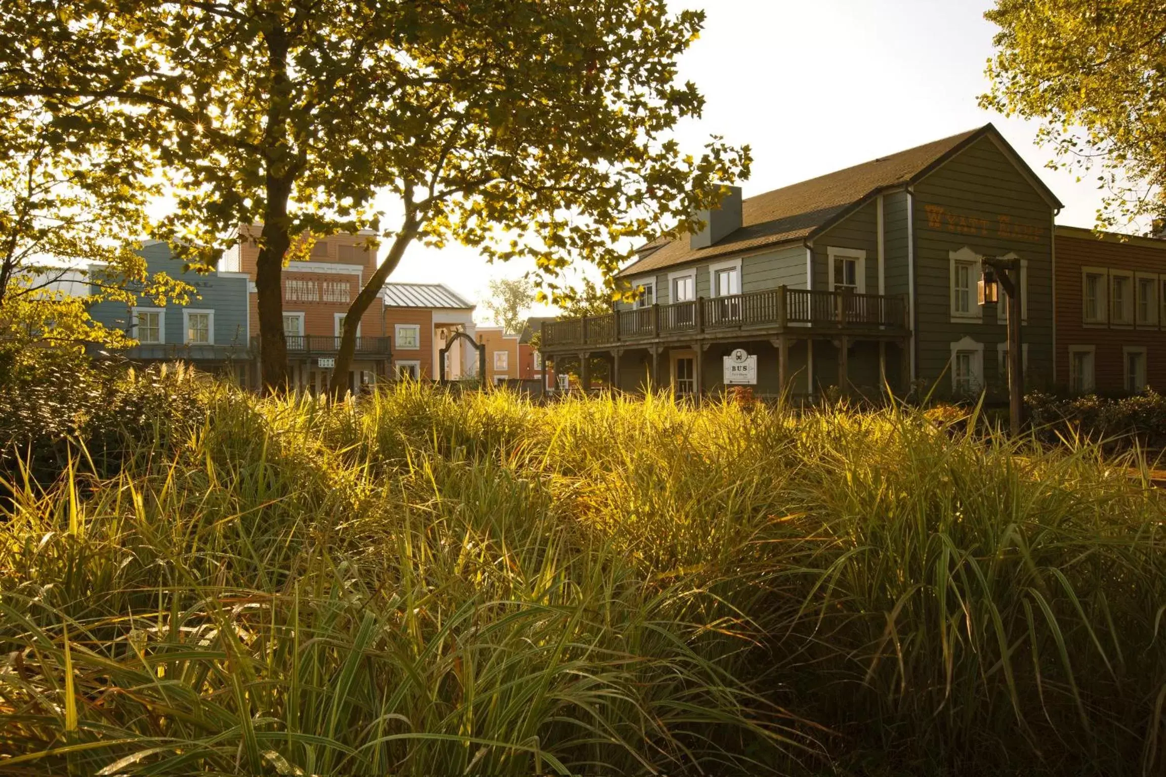 Area and facilities, Property Building in Disney Hotel Cheyenne