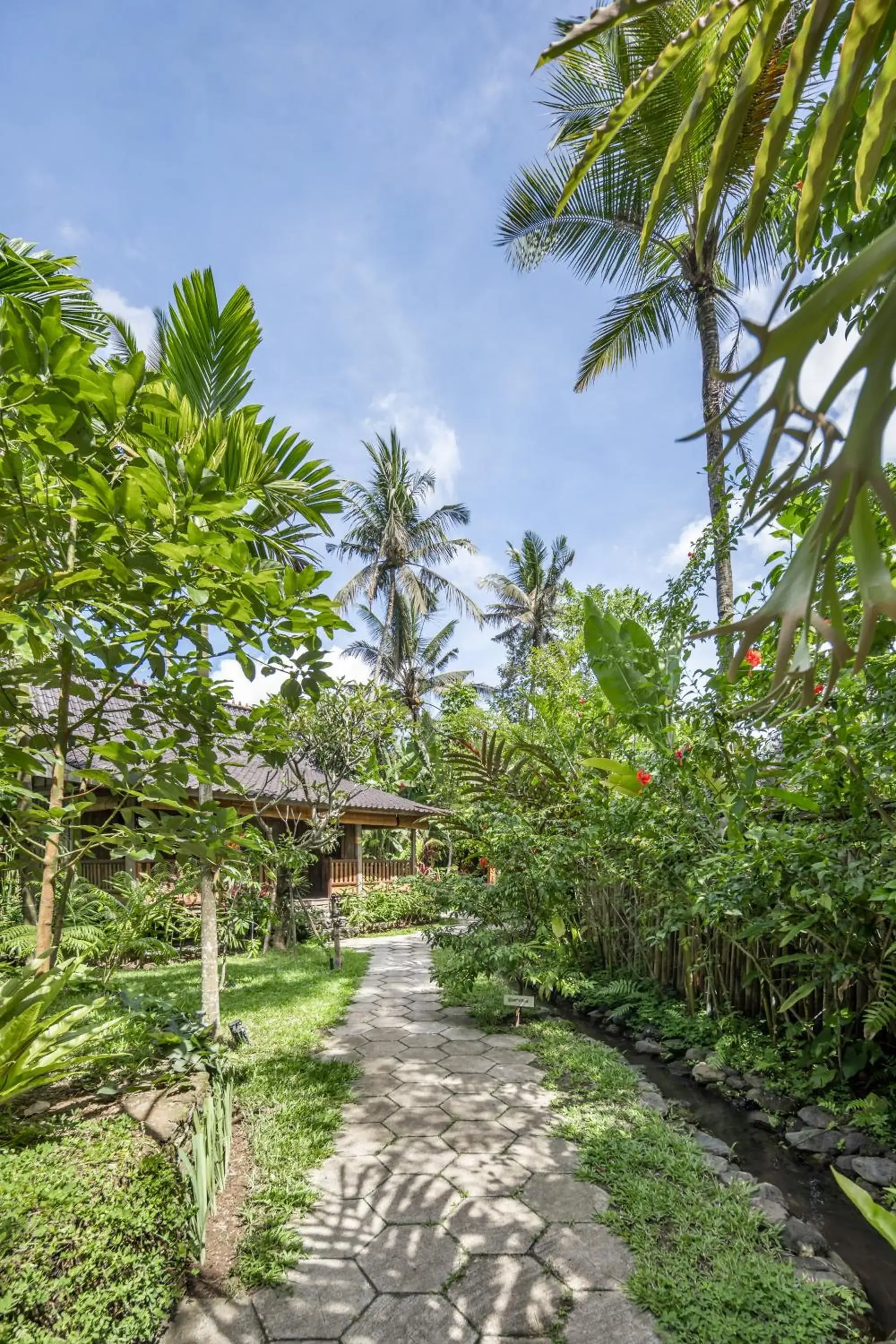 Garden in Korurua Dijiwa Ubud