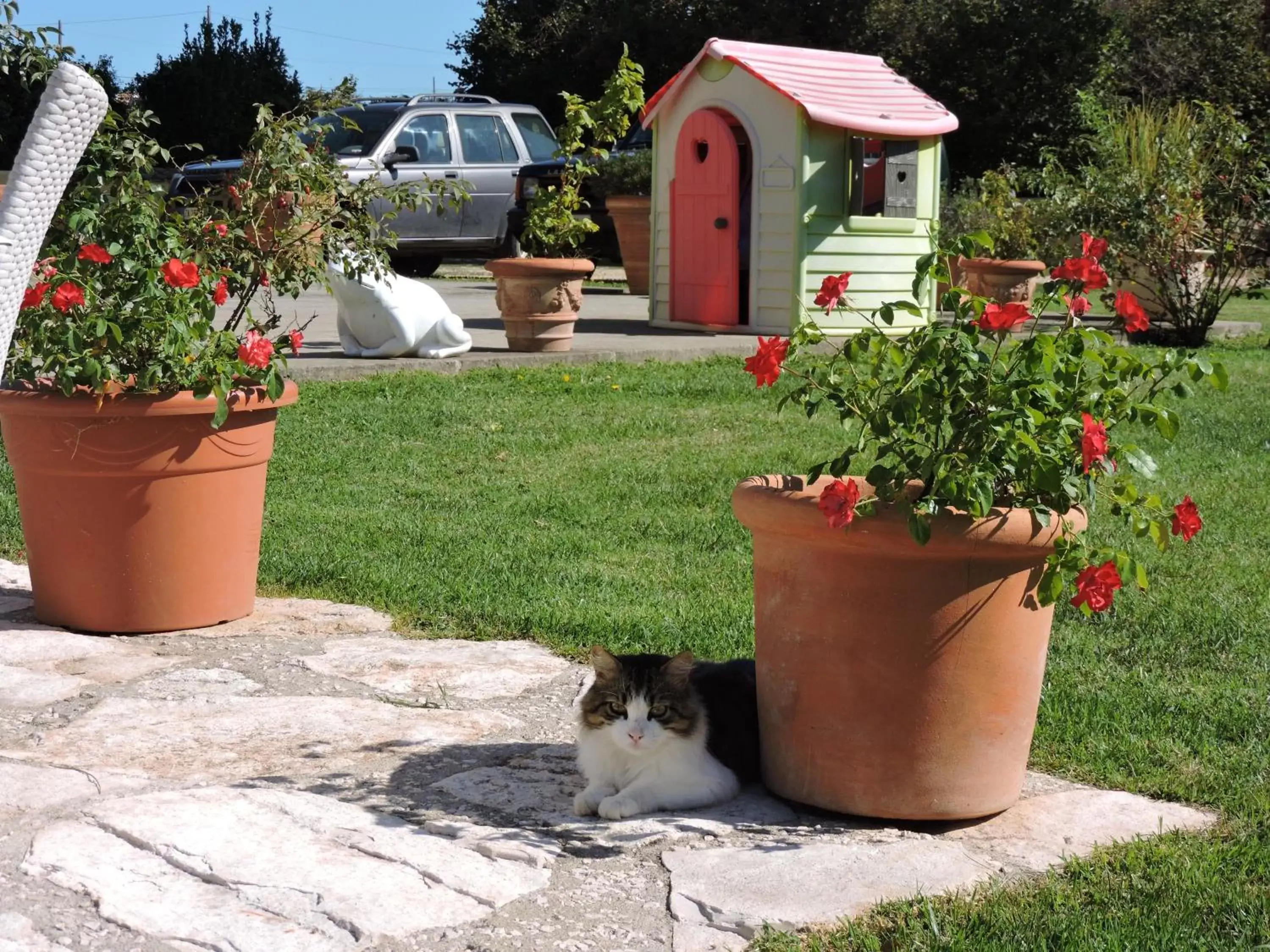 Garden, Pets in Casale Fedele Family Village Vicino al Borgo