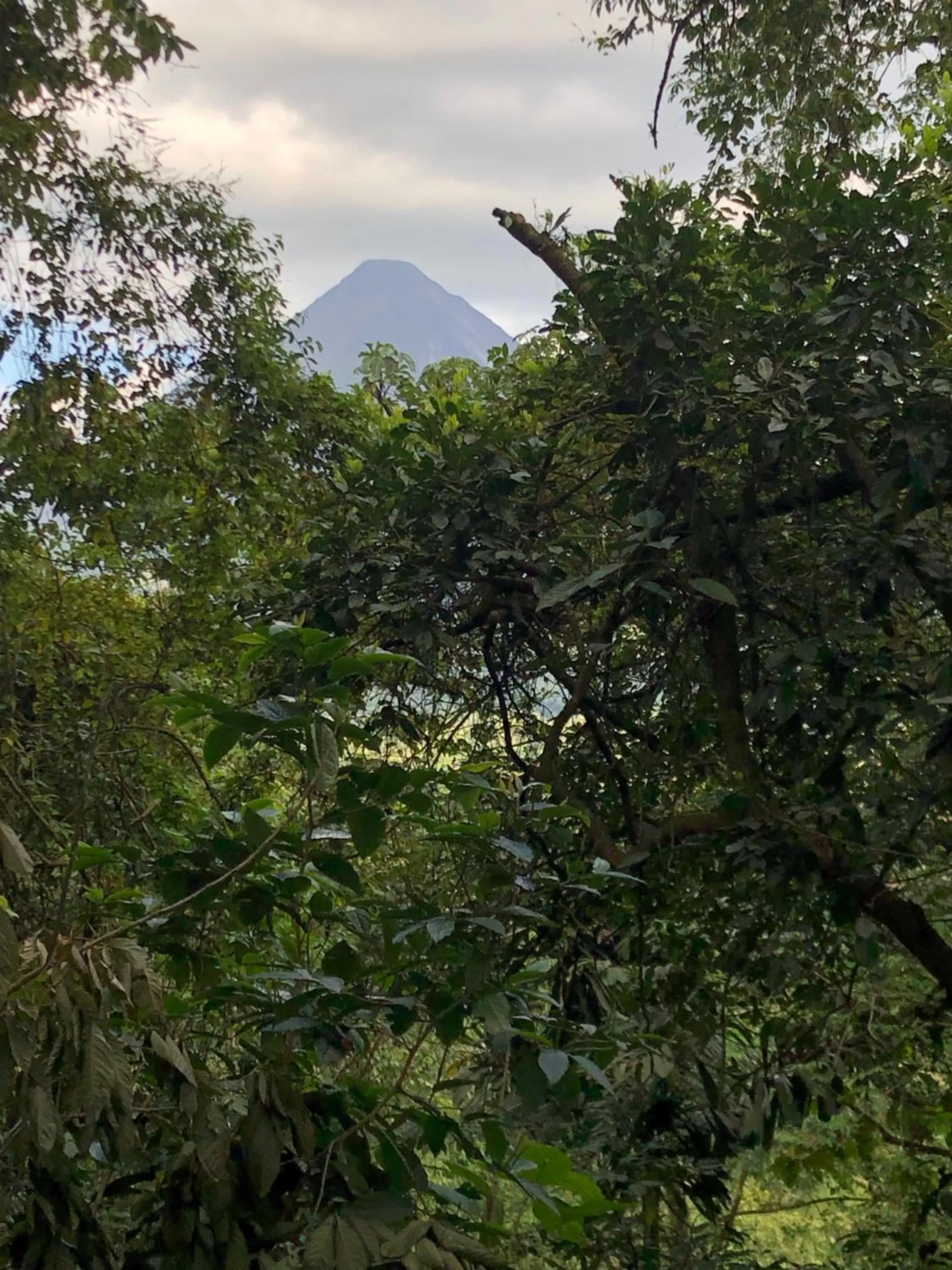 Property building in Sangregado Lodge
