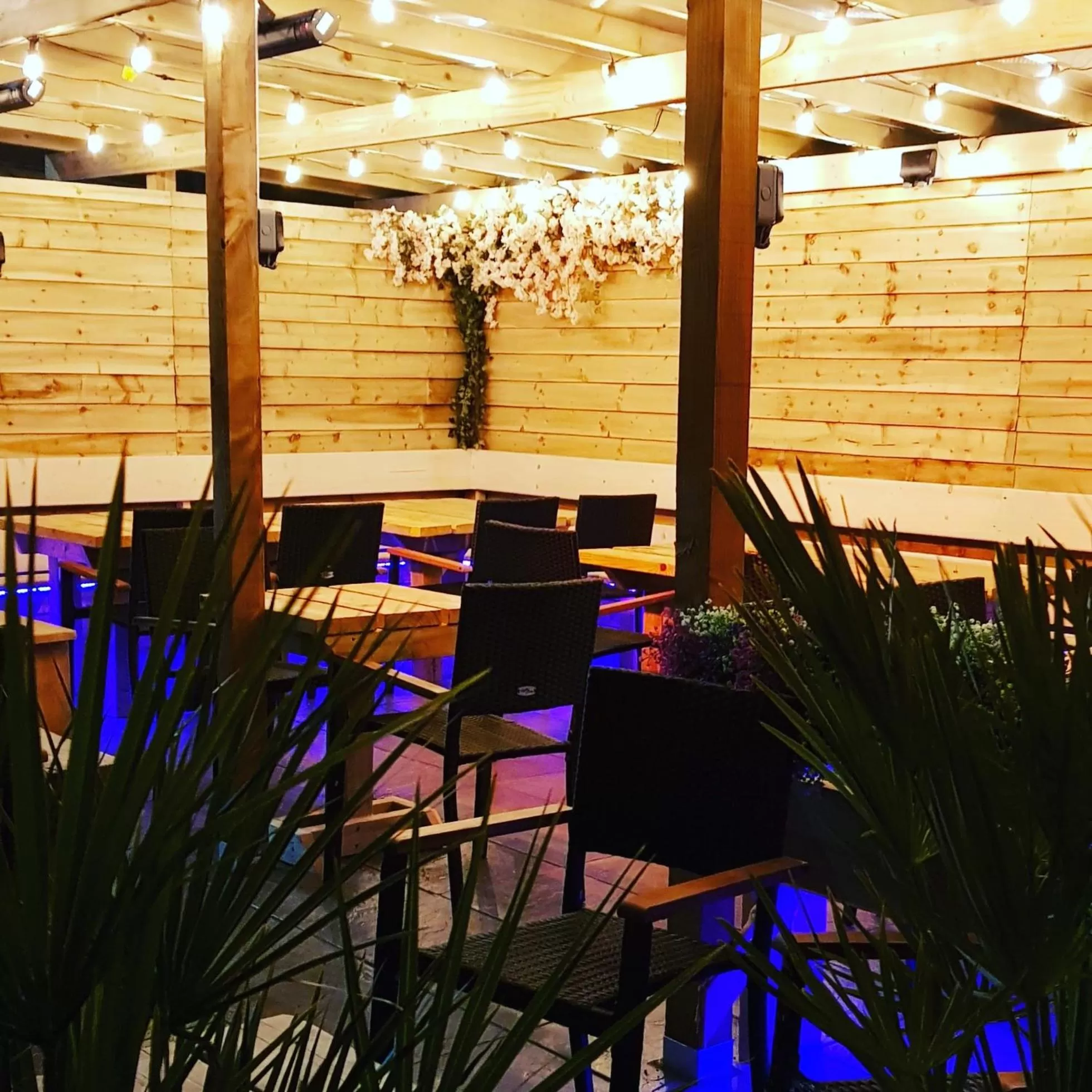 Garden in The Dolphin Hotel & Restaurant