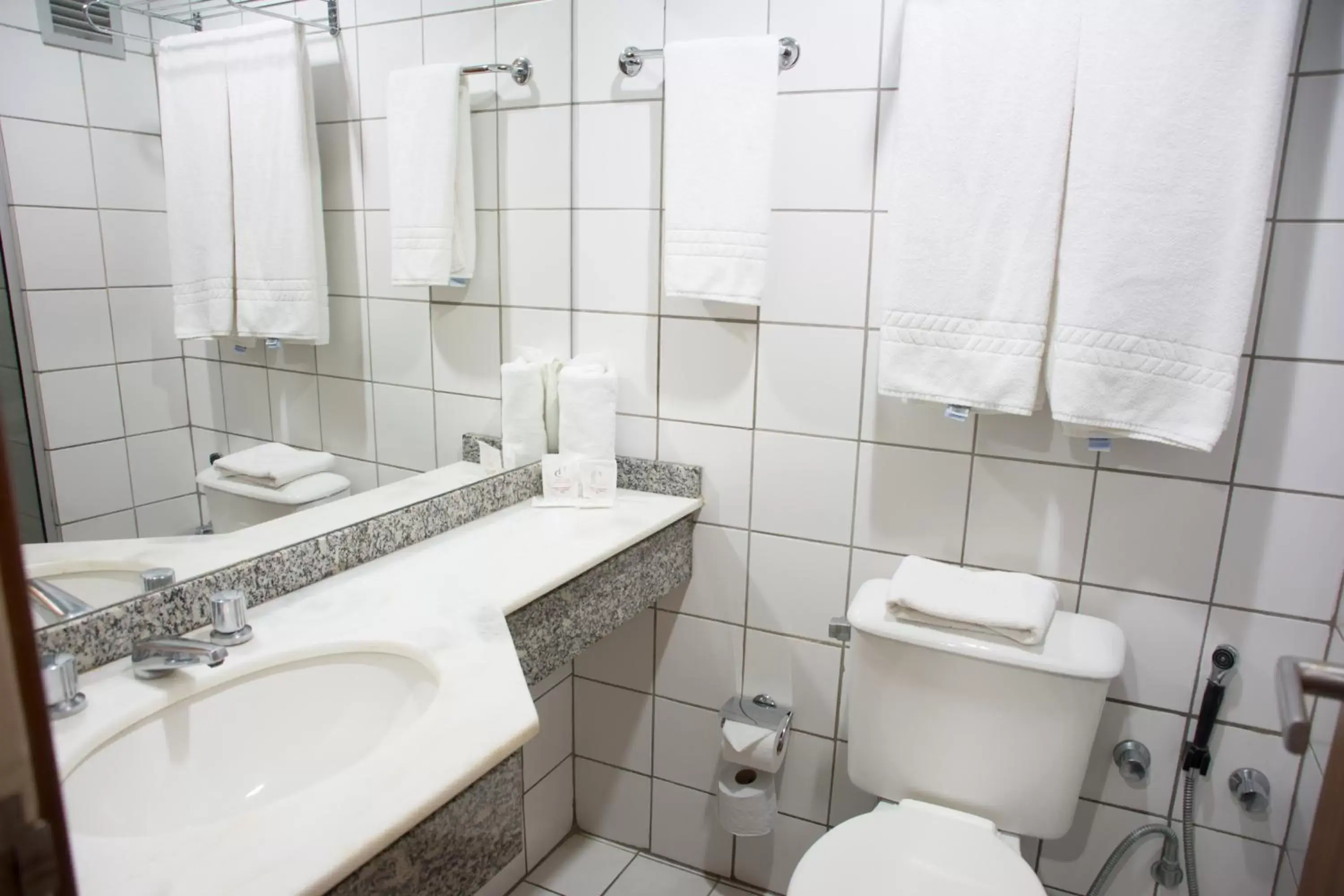 Bathroom in Hotel Continental Business - 200 metros do Complexo Hospitalar Santa Casa