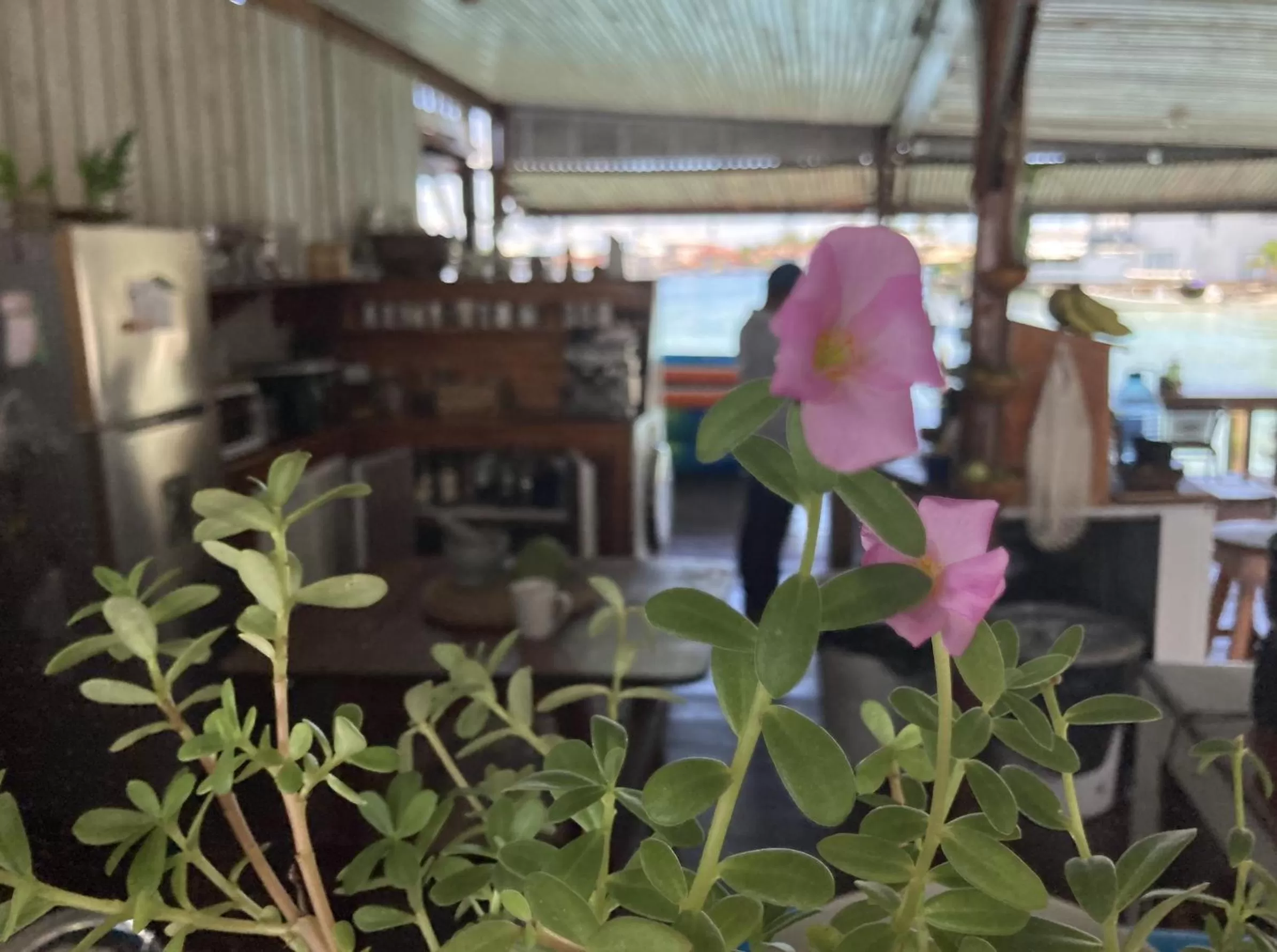 Casa Acuario Boutique Hotel