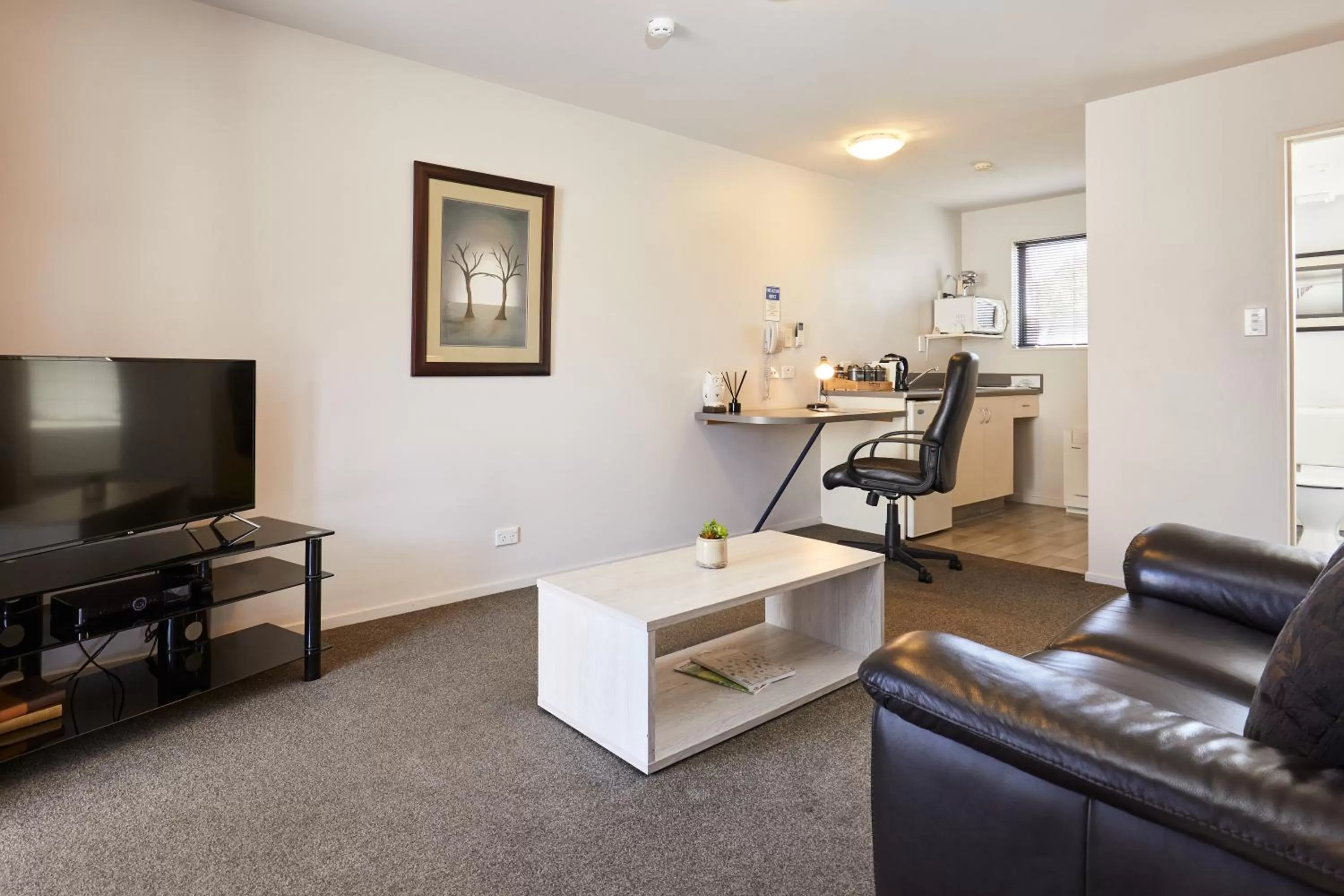 Kitchen or kitchenette in Blenheim Palms Motel