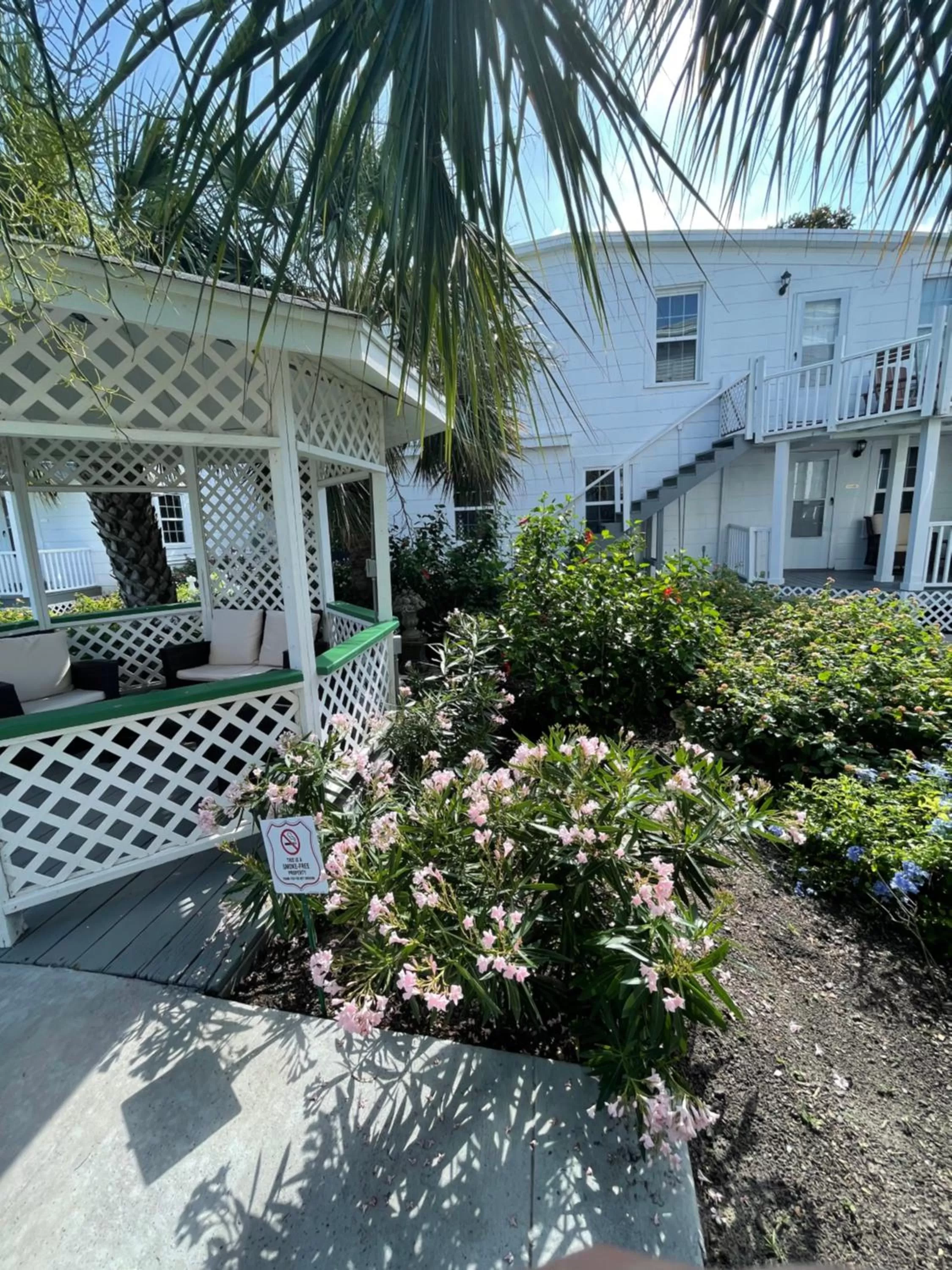 Garden view in The George Manor