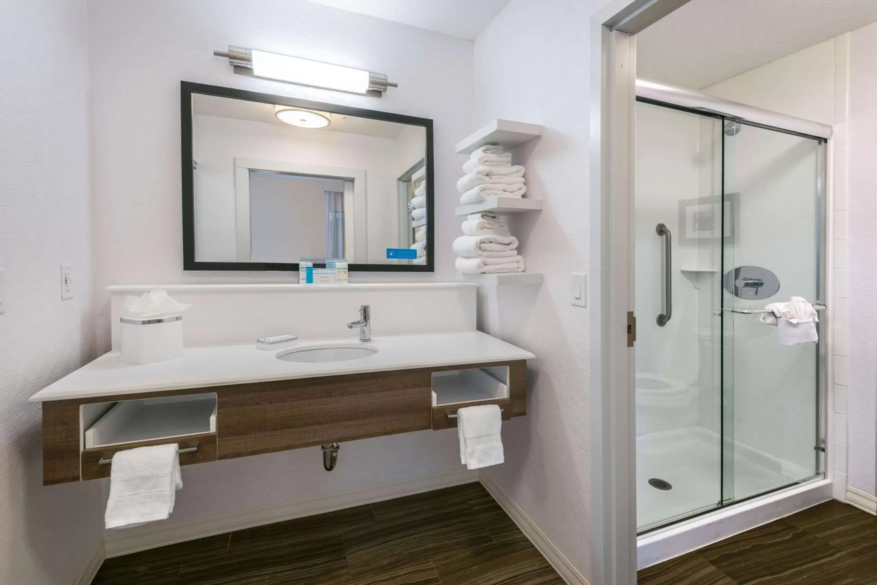 Bathroom in Hampton Inn & Suites San Antonio Brooks City Base, TX