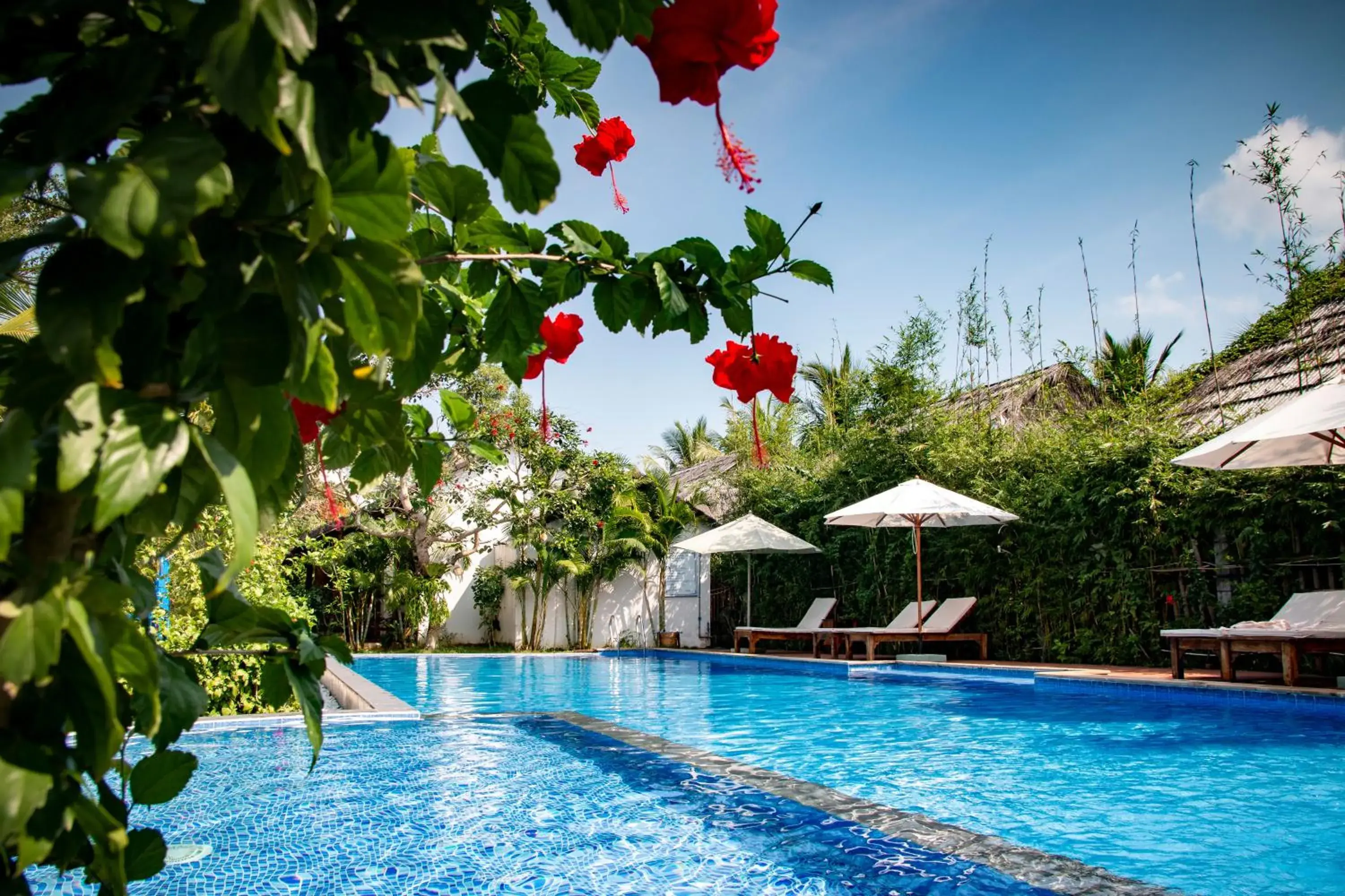 Day, Swimming Pool in La Casa Resort