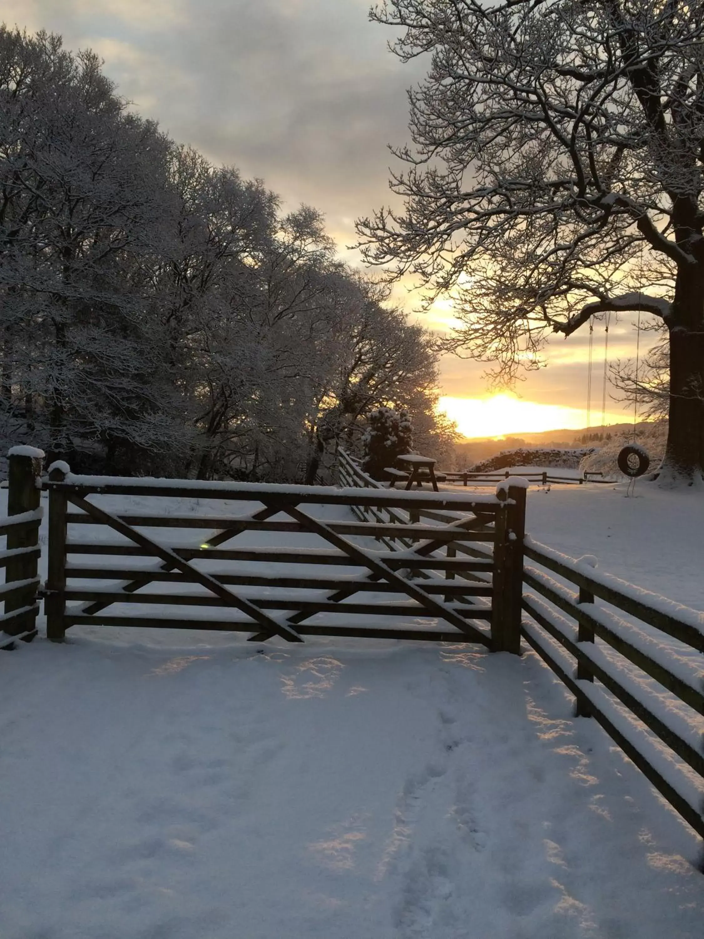 Winter in Holmeshead Farm