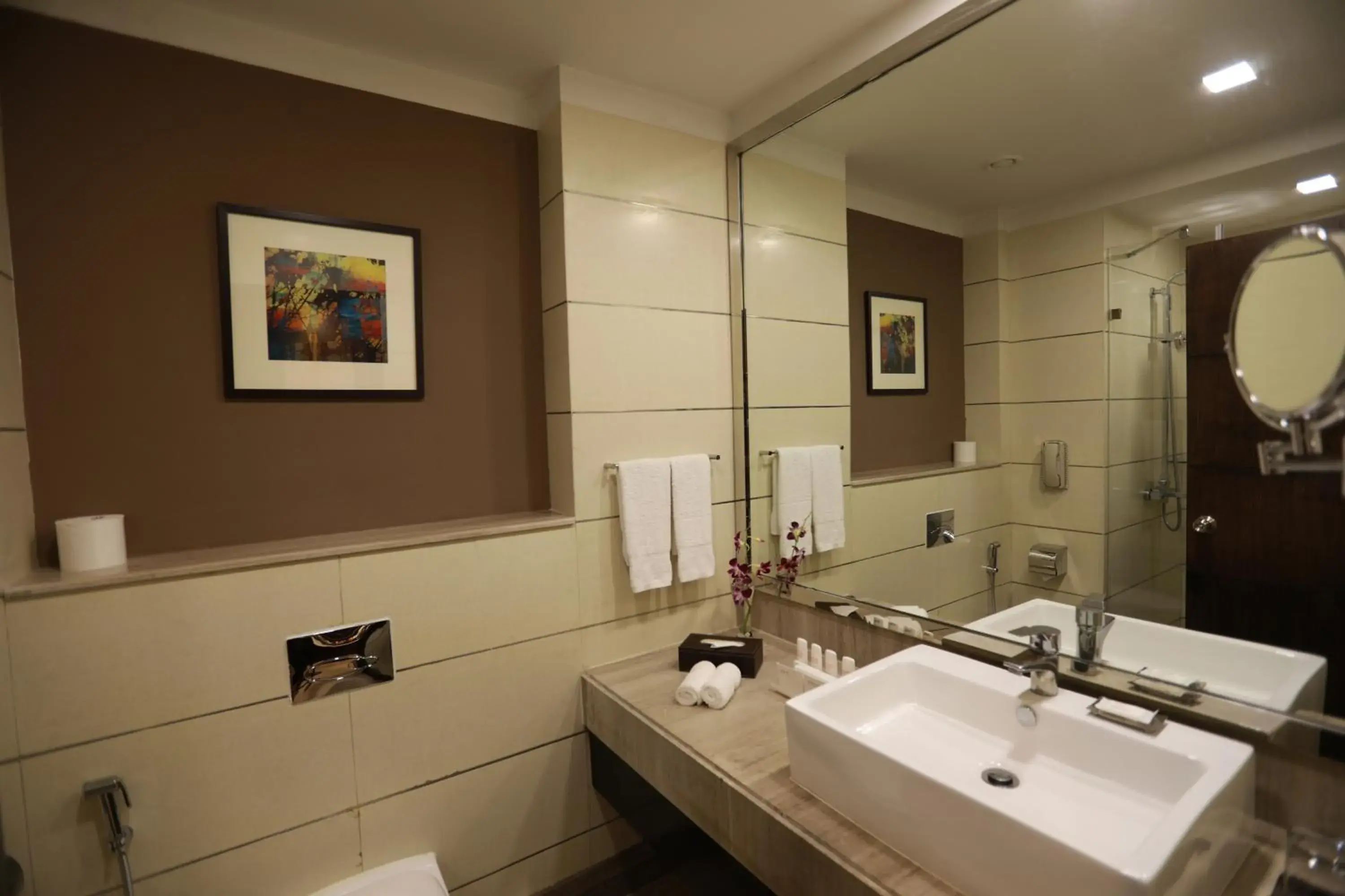 Bathroom in Radisson Blu Pune Hinjawadi