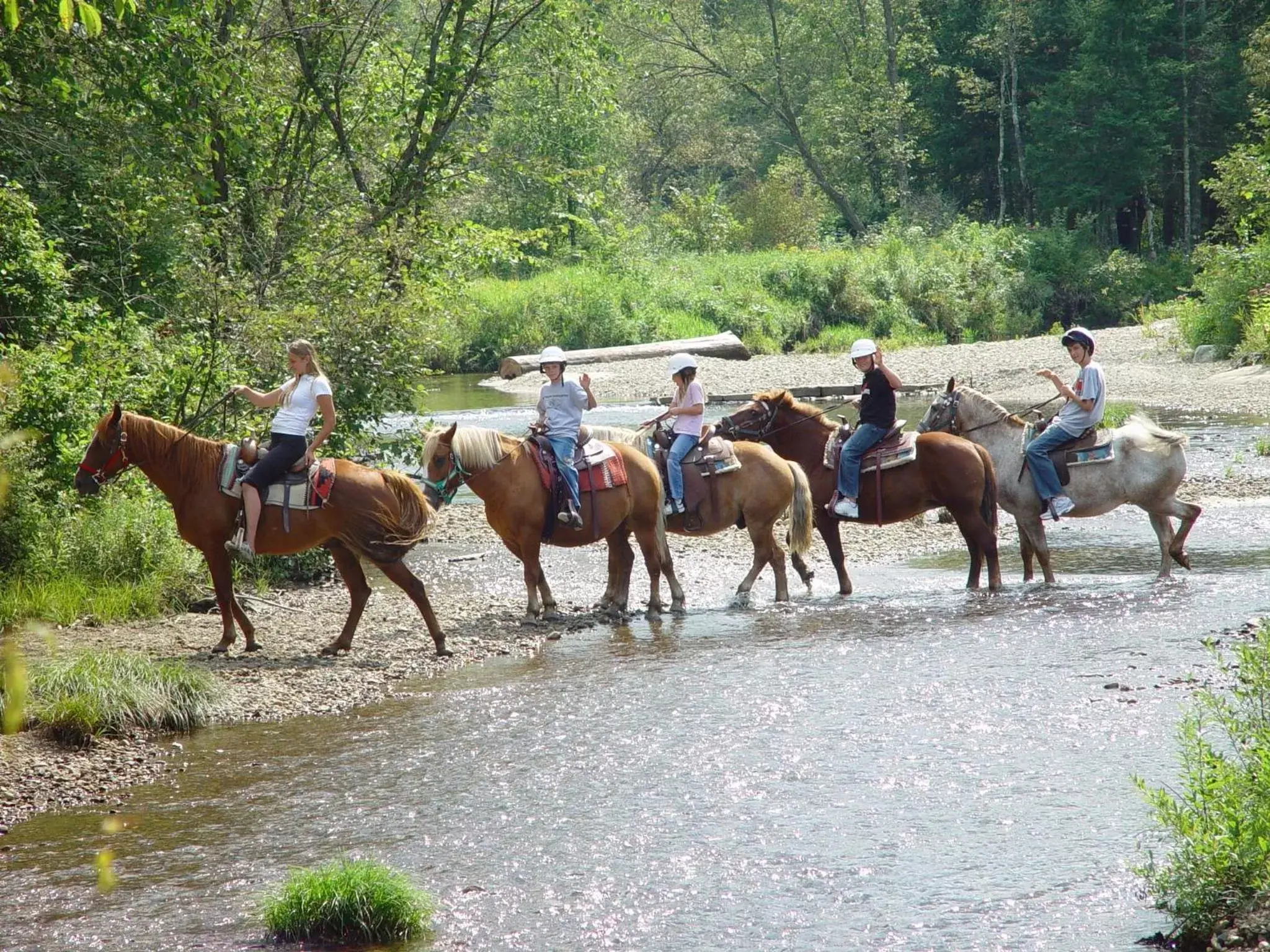 Horse-riding, Horseback Riding in Franconia Inn