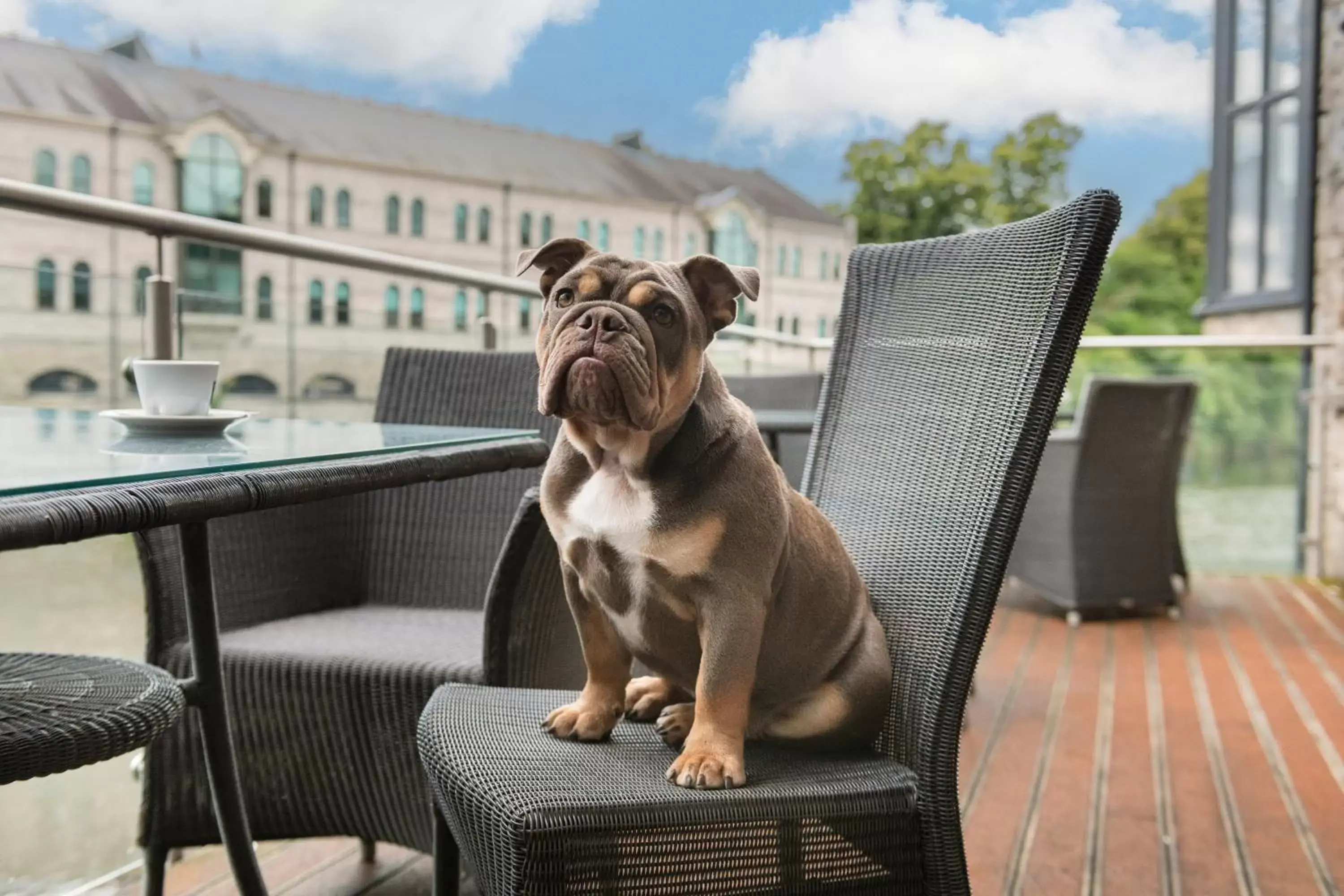 Property building in The Riverside Property building in The Riverside