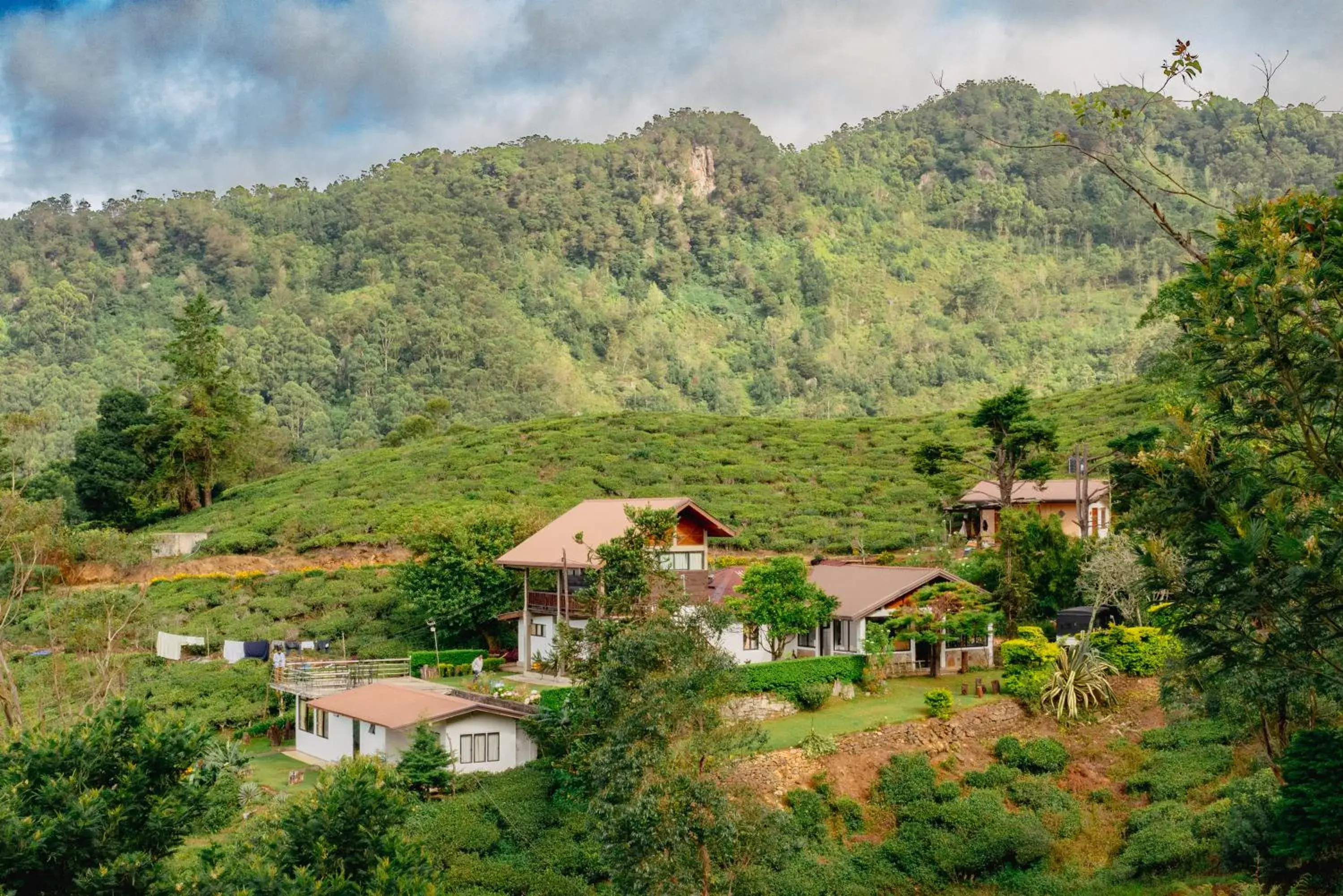 Bird's-eye View in Hill Safari Eco Lodge