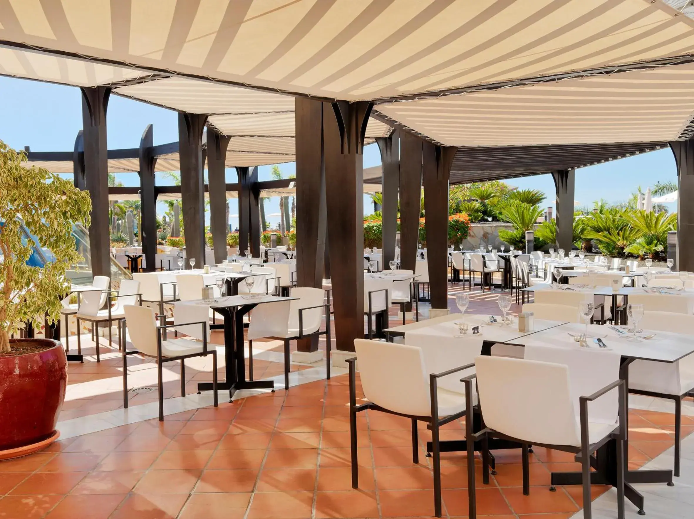 Restaurant/Places to Eat in H10 Playa Meloneras Palace