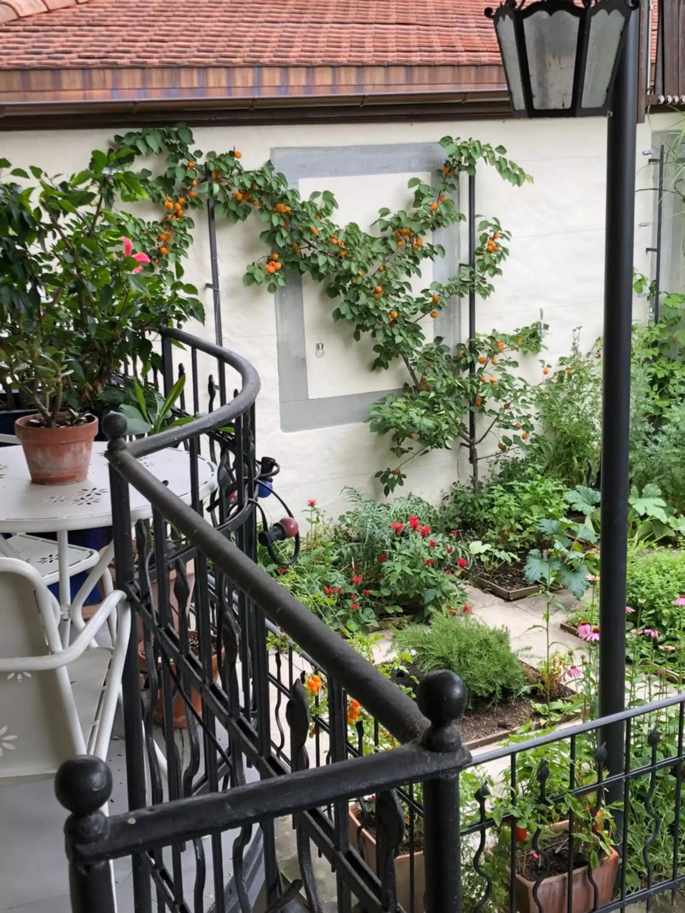 Balcony/Terrace in Good4Yew BnB