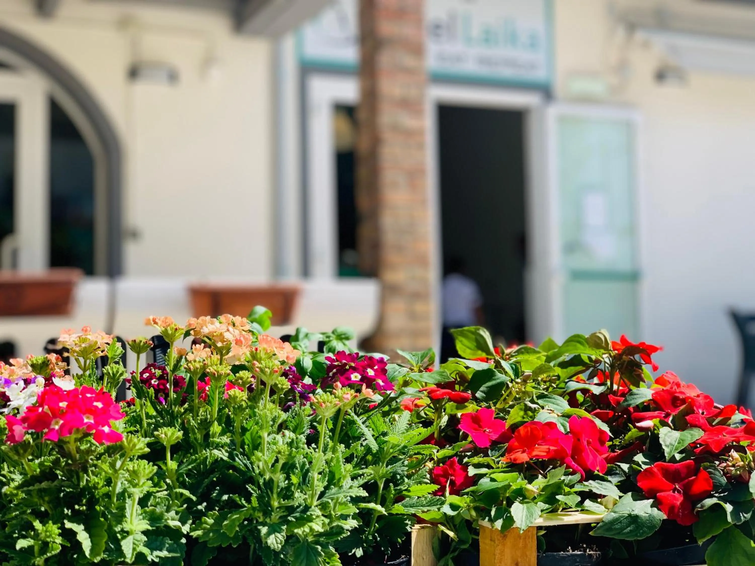 Property building in Hotel Laika