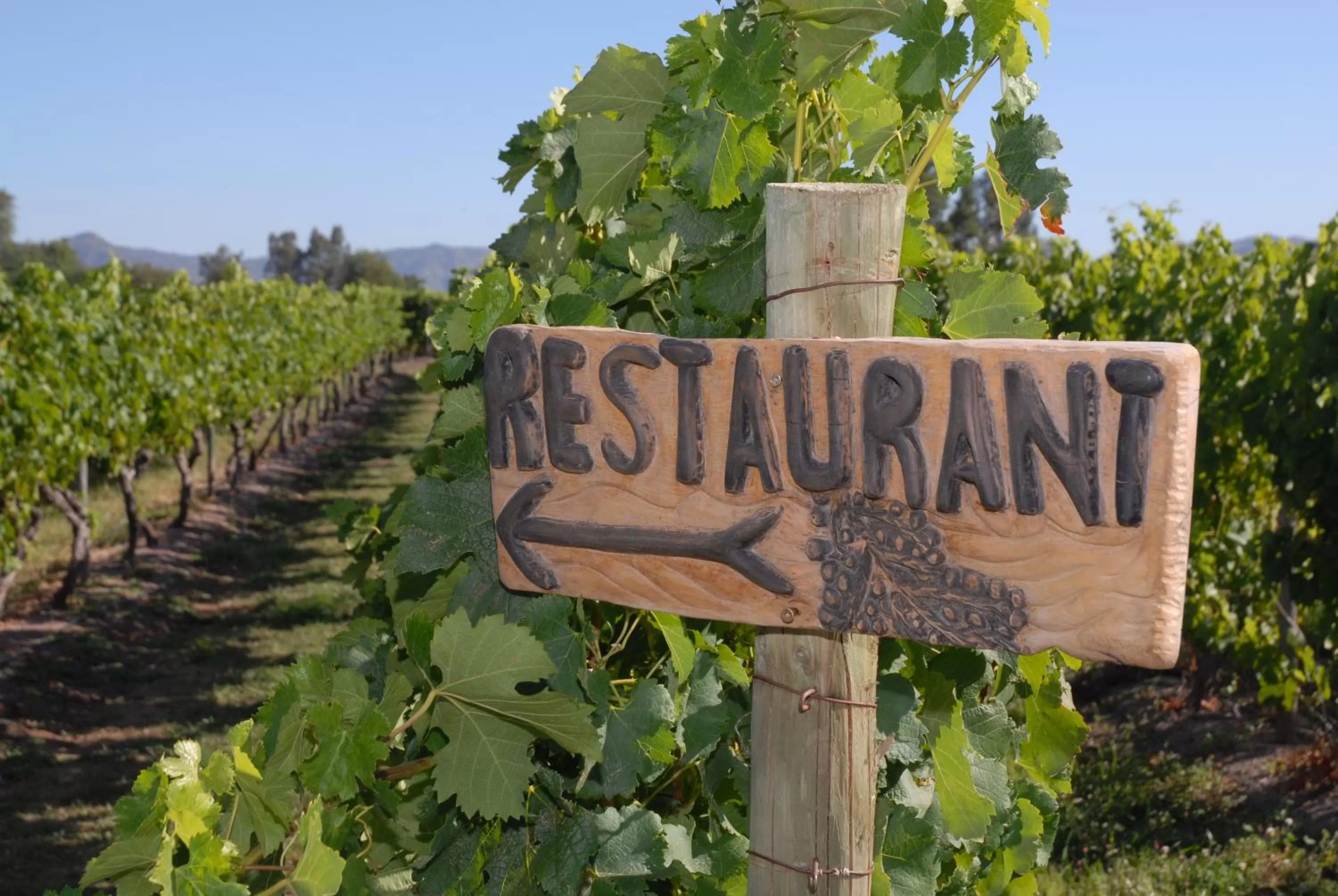 Decorative detail in Hotel Terraviña