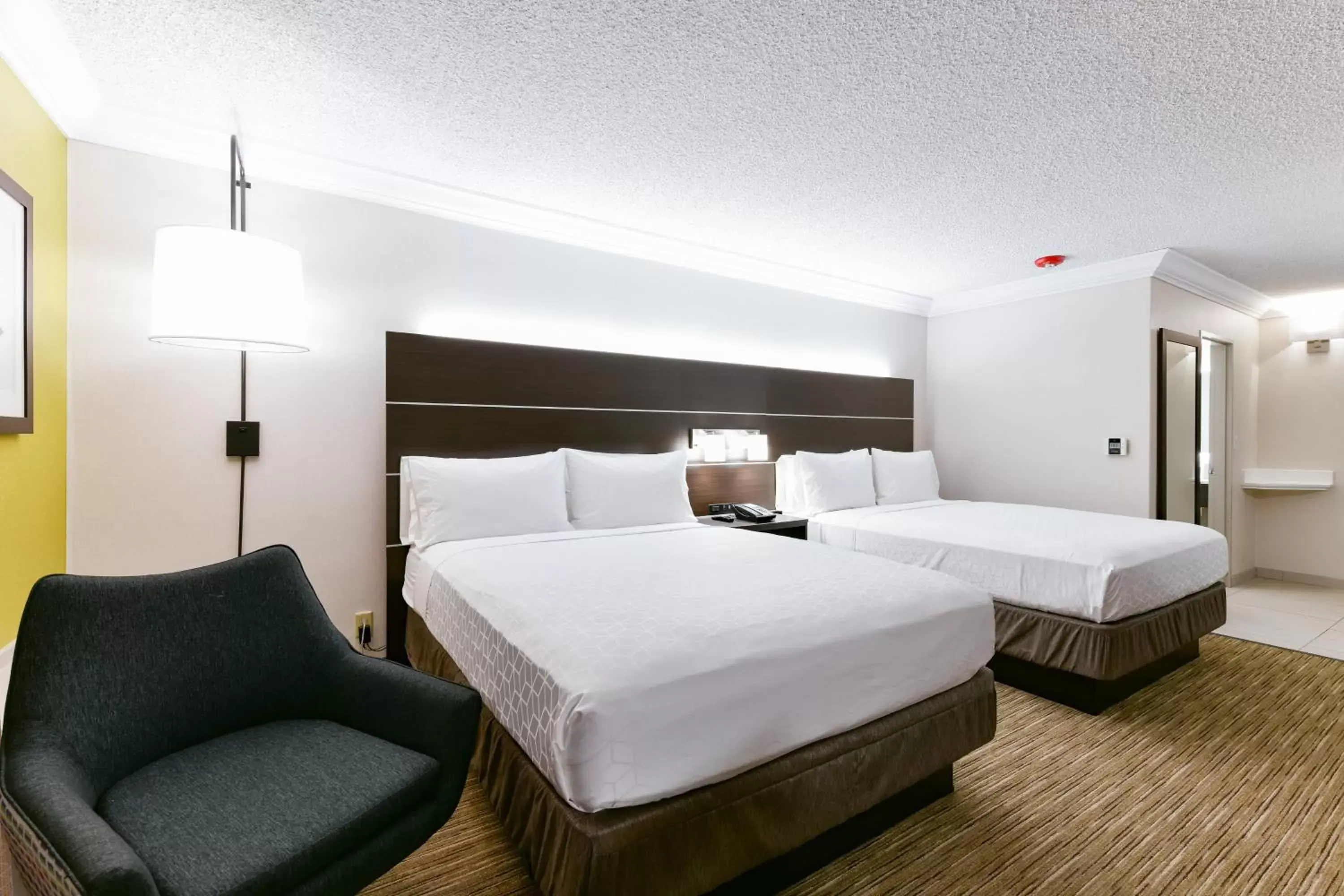 Photo of the whole room, Bed in Holiday Inn Express Mill Valley - Sausalito Area, an IHG Hotel