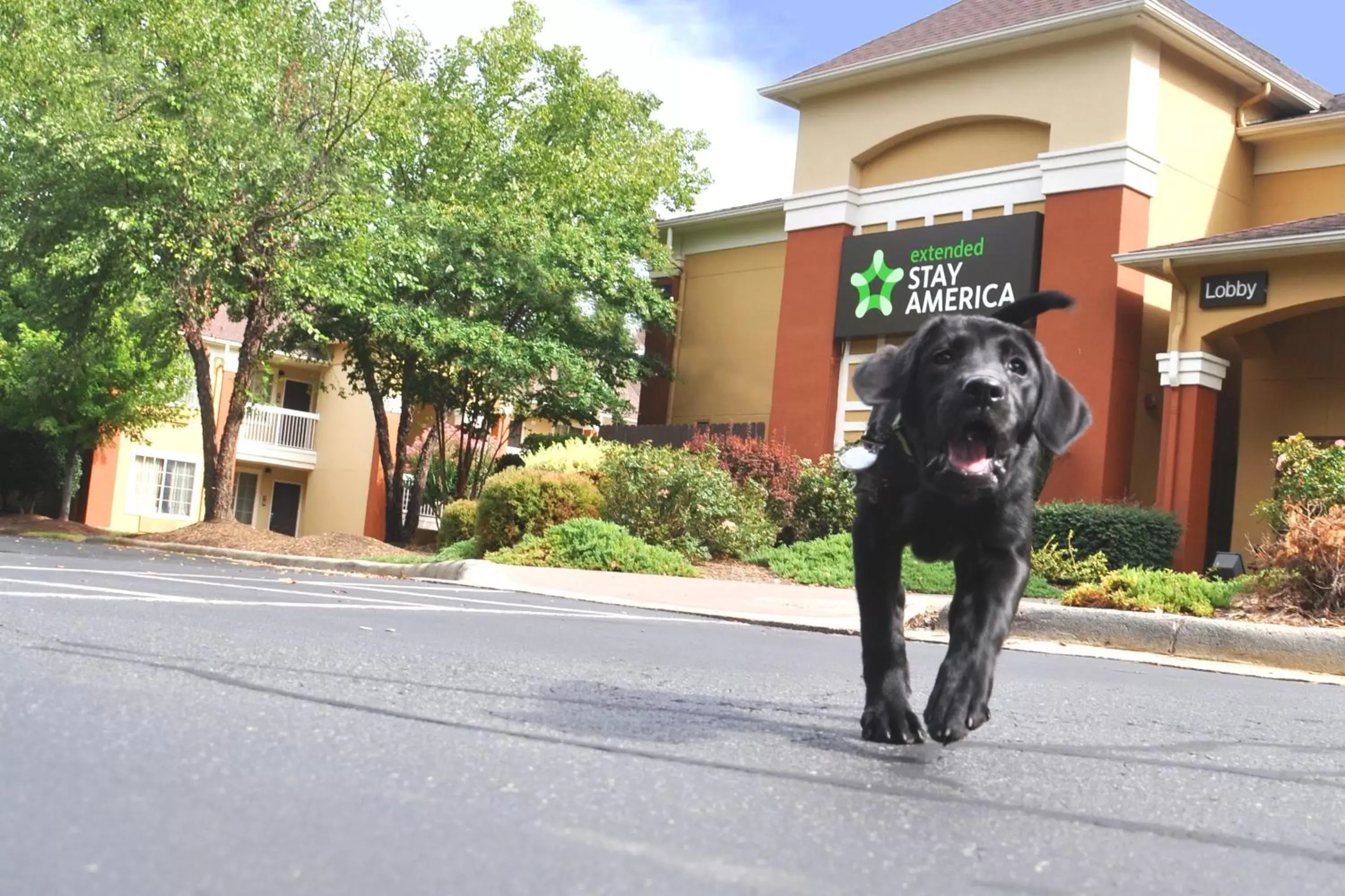 Pets in Extended Stay America Suites - Albuquerque - Airport