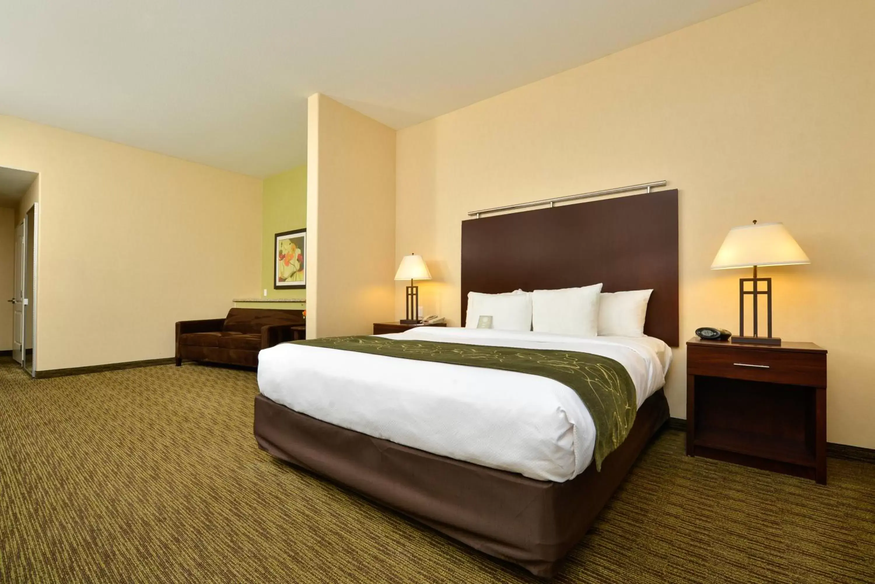 King Suite with Roll-in Shower Accessible /Non Smoking in Comfort Suites