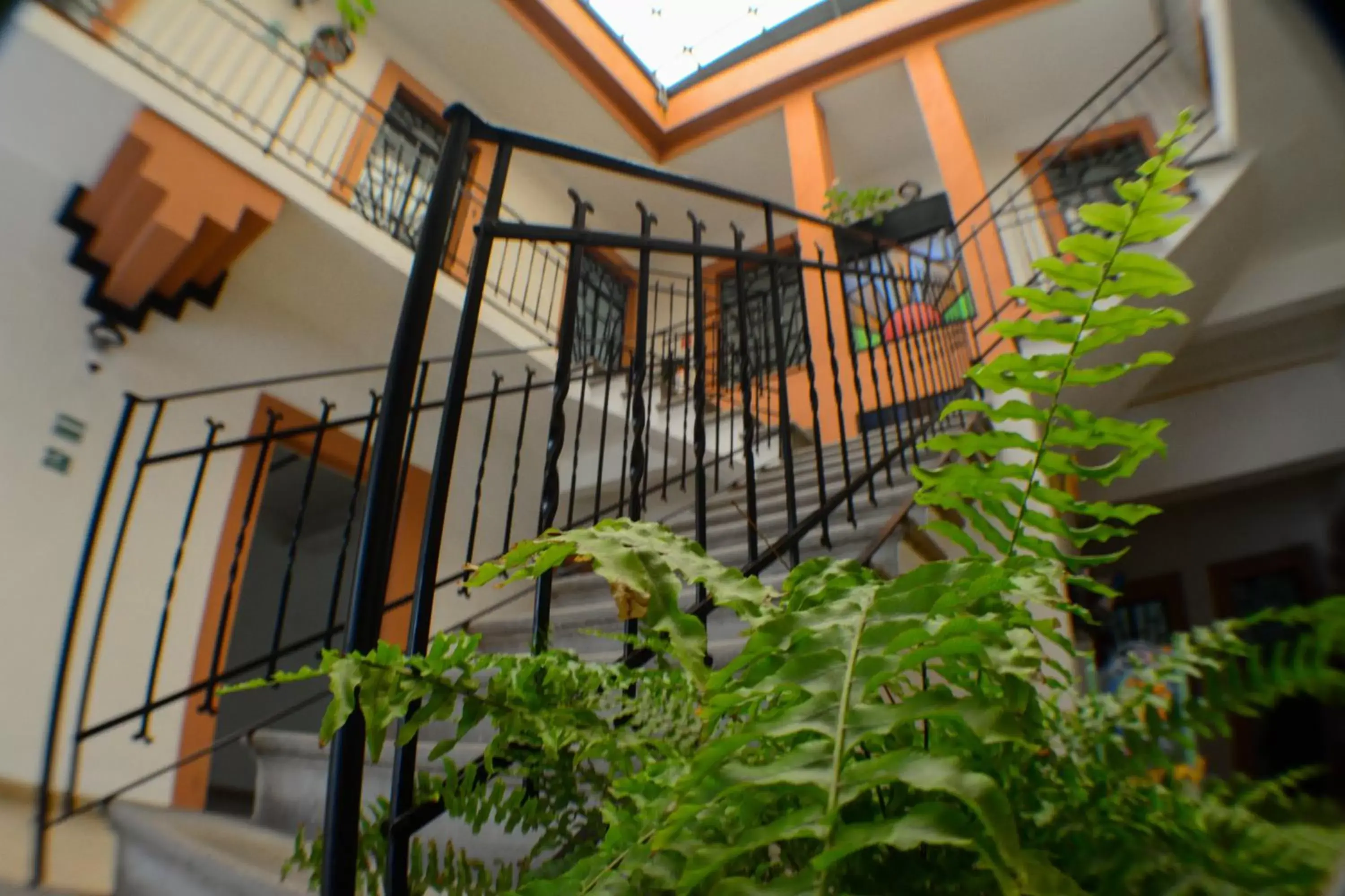 Patio, Balcony/Terrace in Hotel del Capitán de Puebla - Vitrales