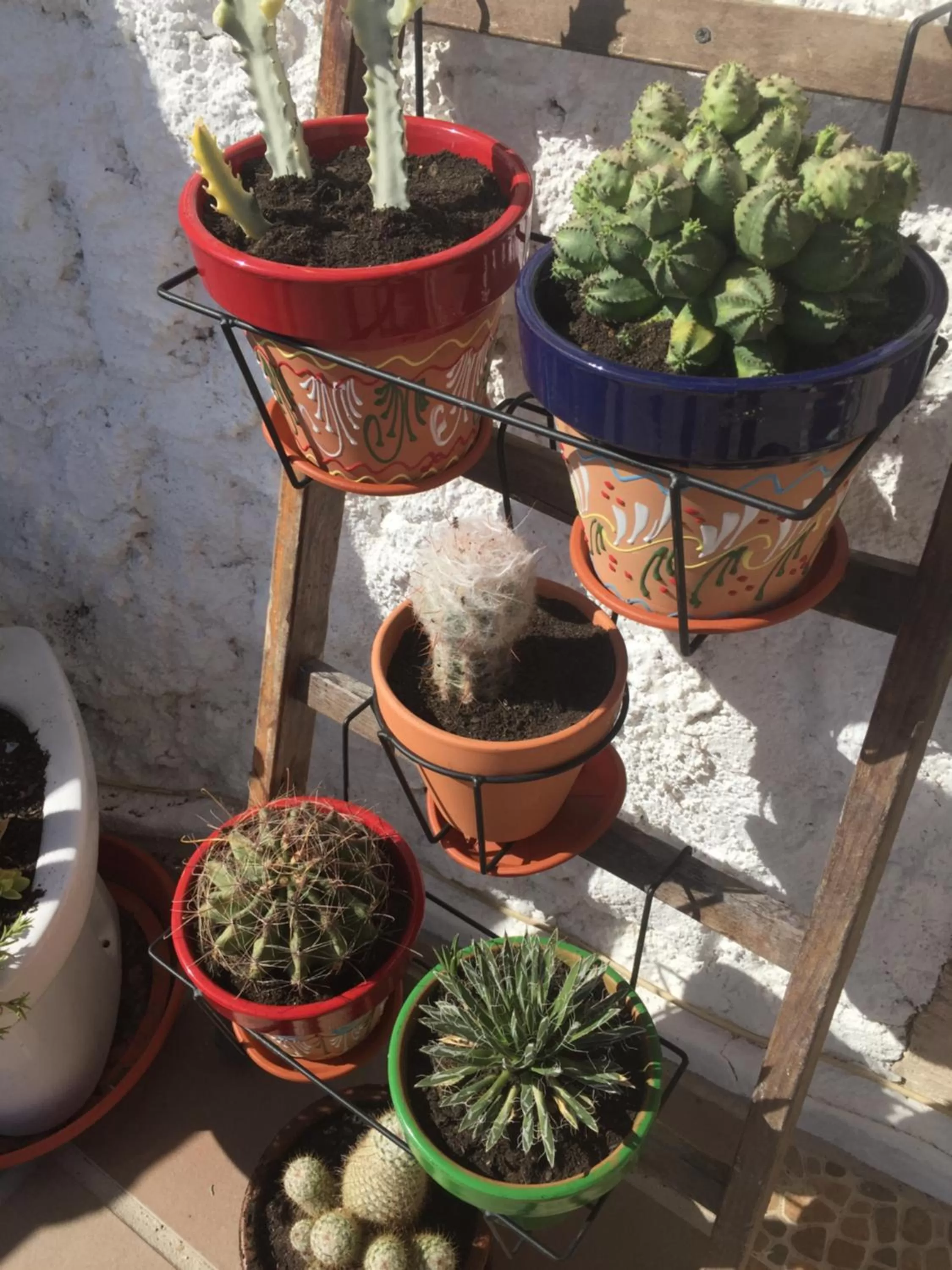 Balcony/Terrace in The Cave of Dreams