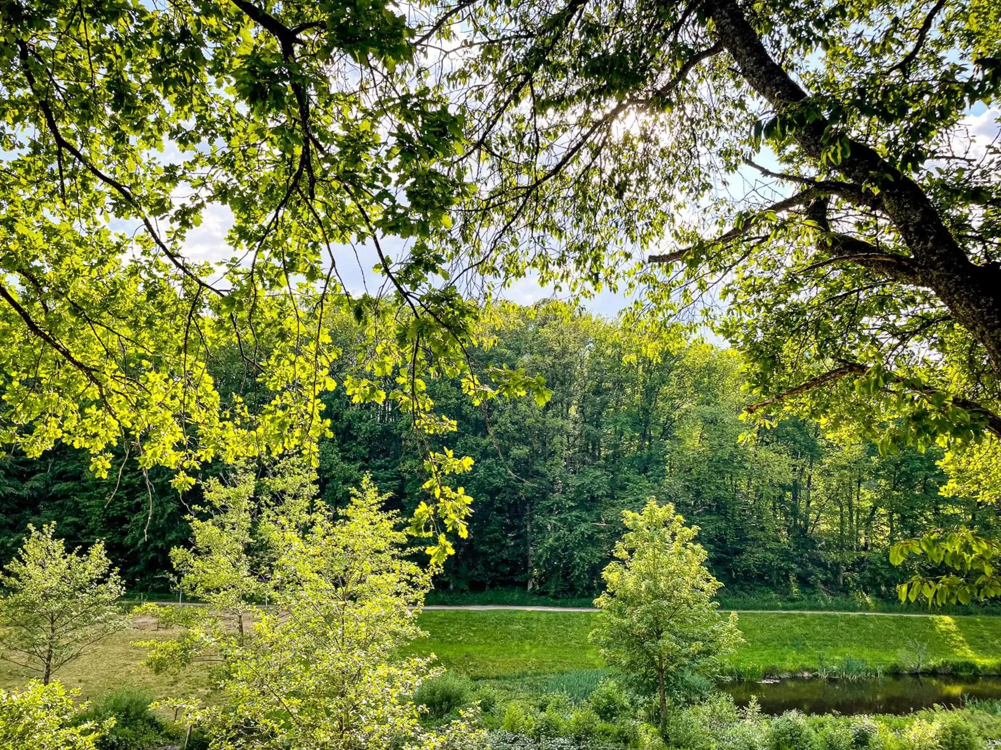 View (from property/room) in 2tHEIMAT - Hotel & Restaurant