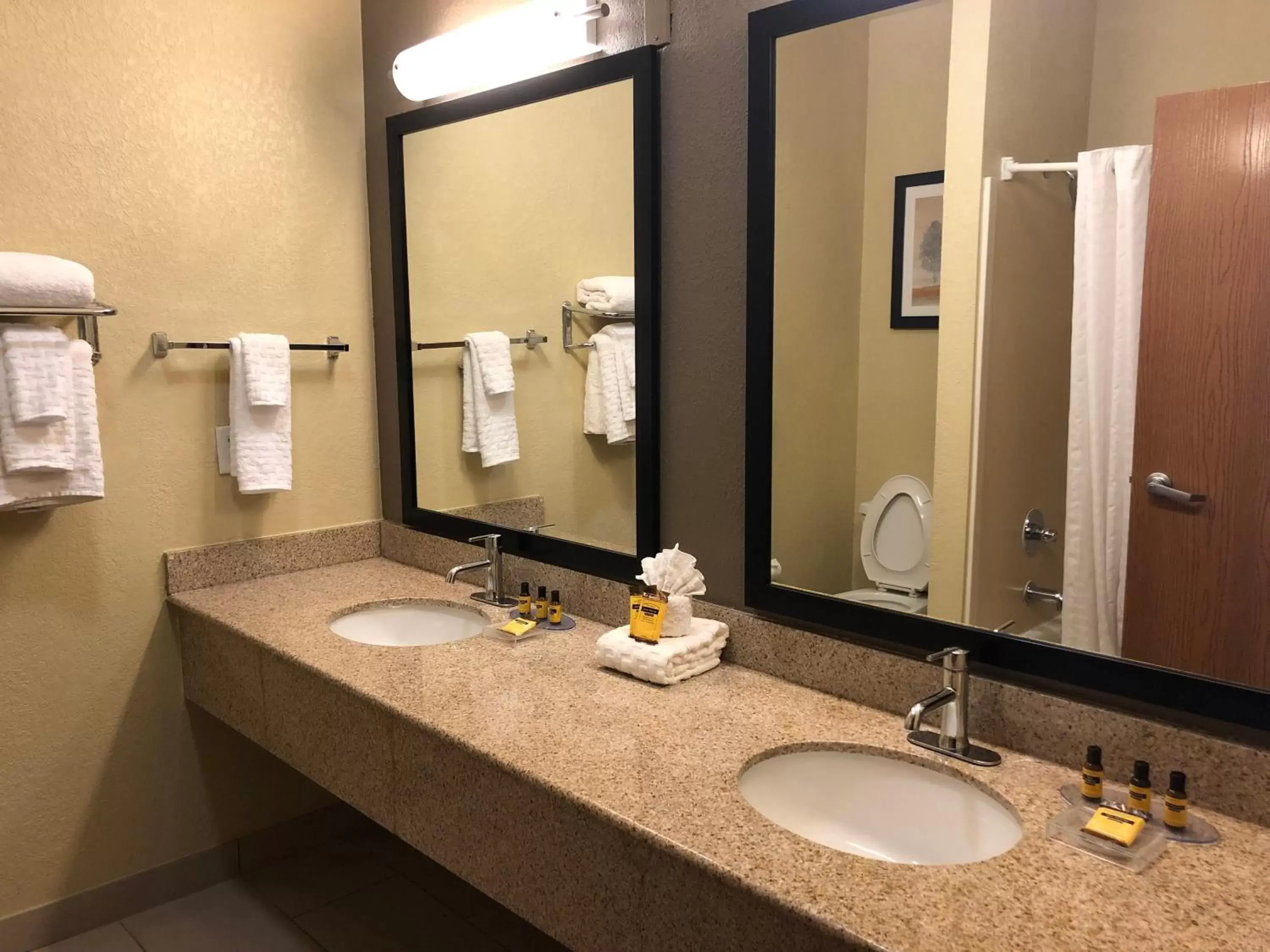 Bathroom in Best Western Plus Hill Country Suites - San Antonio