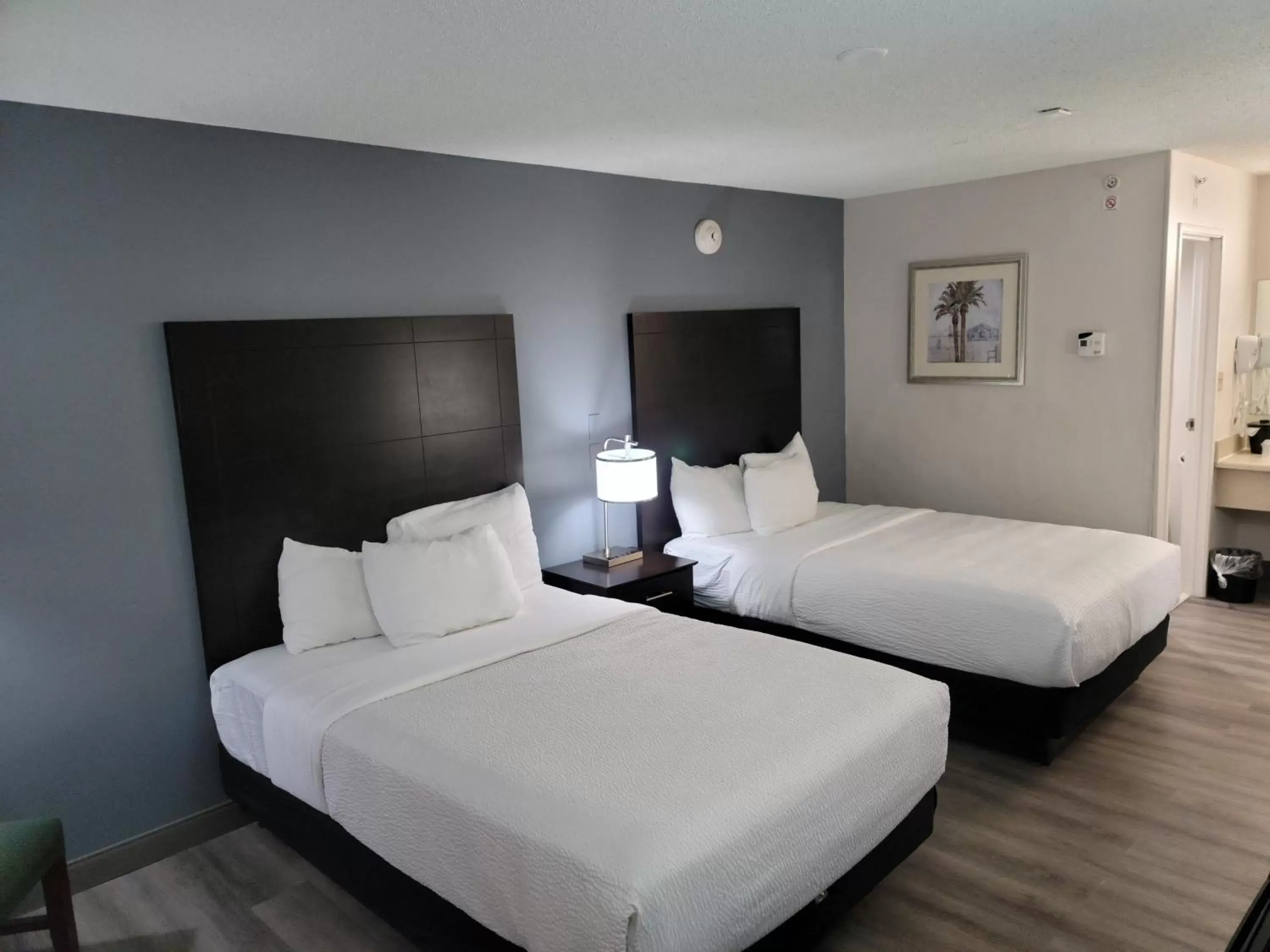Bedroom, Bed in La Quinta Inn by Wyndham Tampa Near Busch Gardens