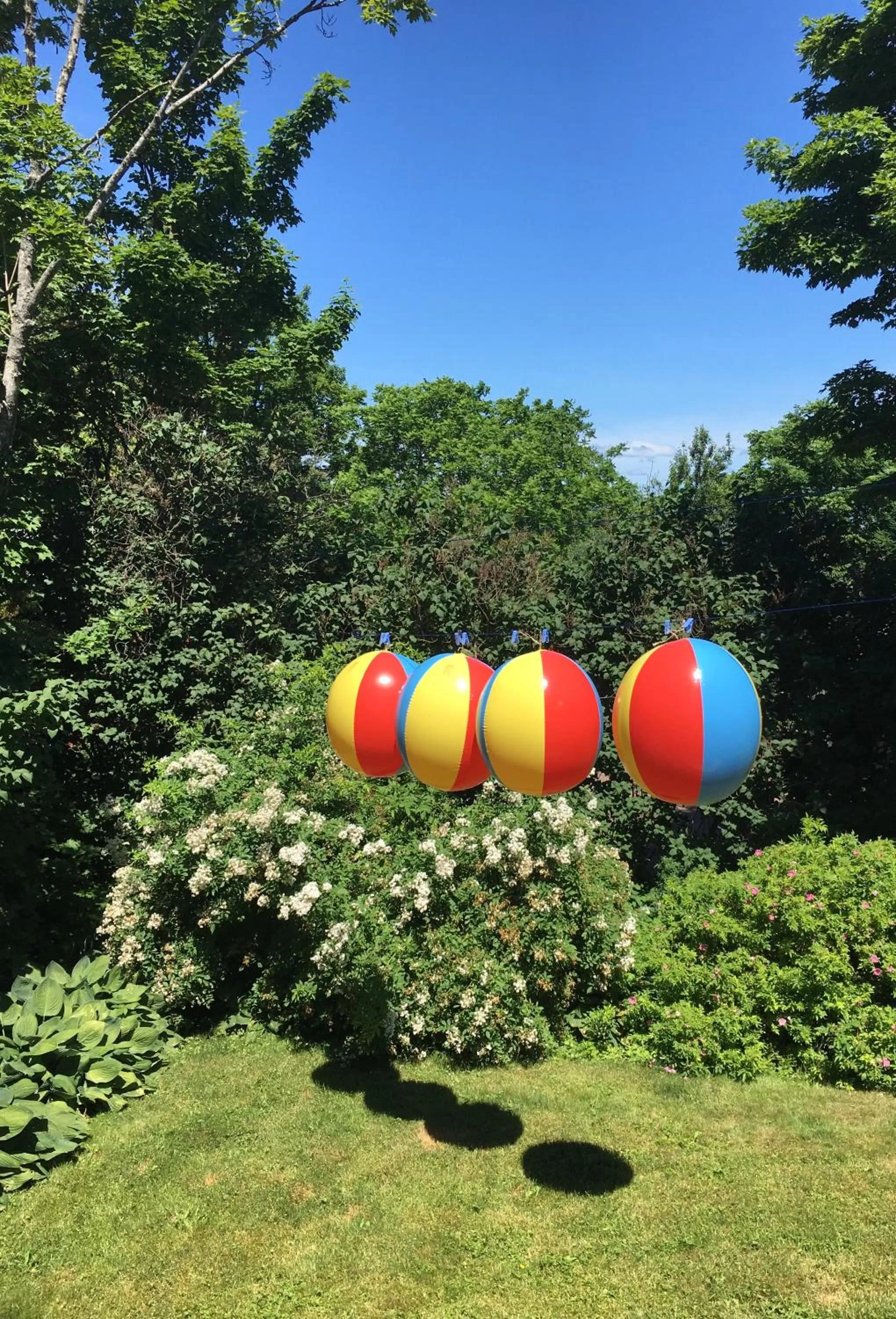 Garden in Locust & Starr Inn