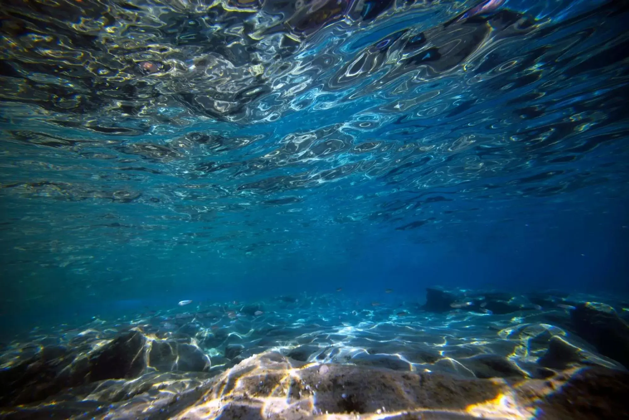 Snorkeling in Solmaris Tropea Rooms & Suites