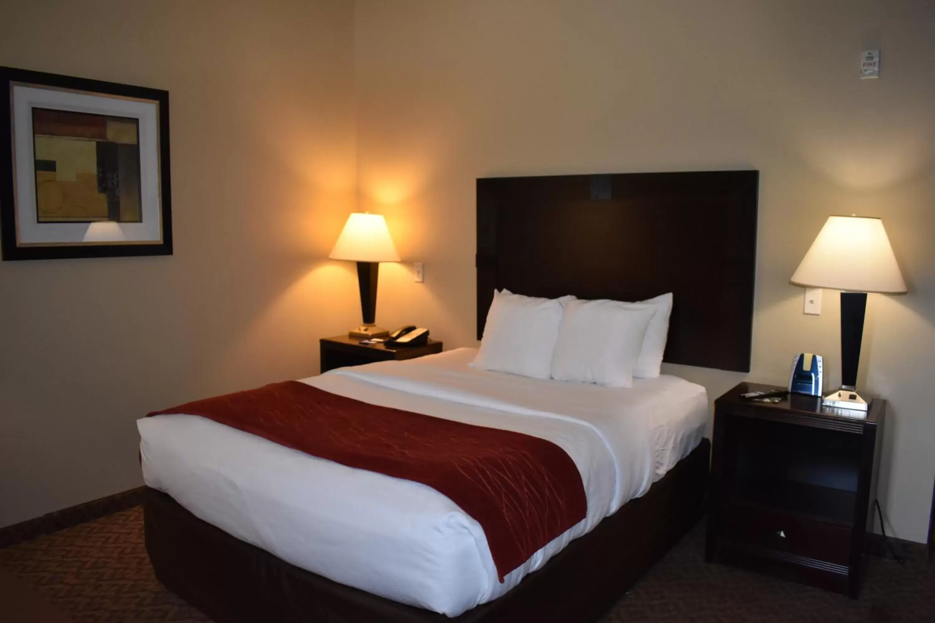 Quen Suite - Accessible/Non-Smoking in Comfort Inn and Suites Near Lake Guntersville