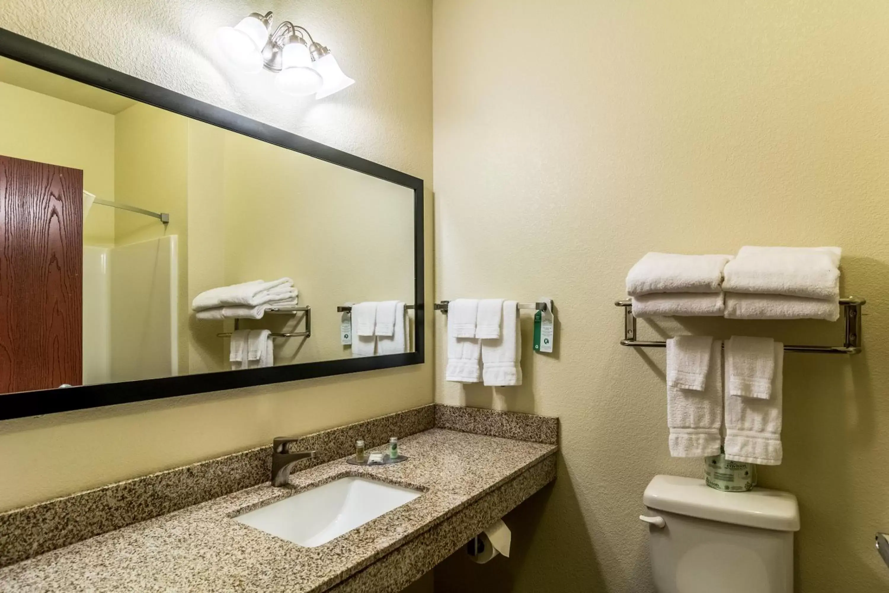 Bathroom in Cobblestone Hotel & Suites - Greenville
