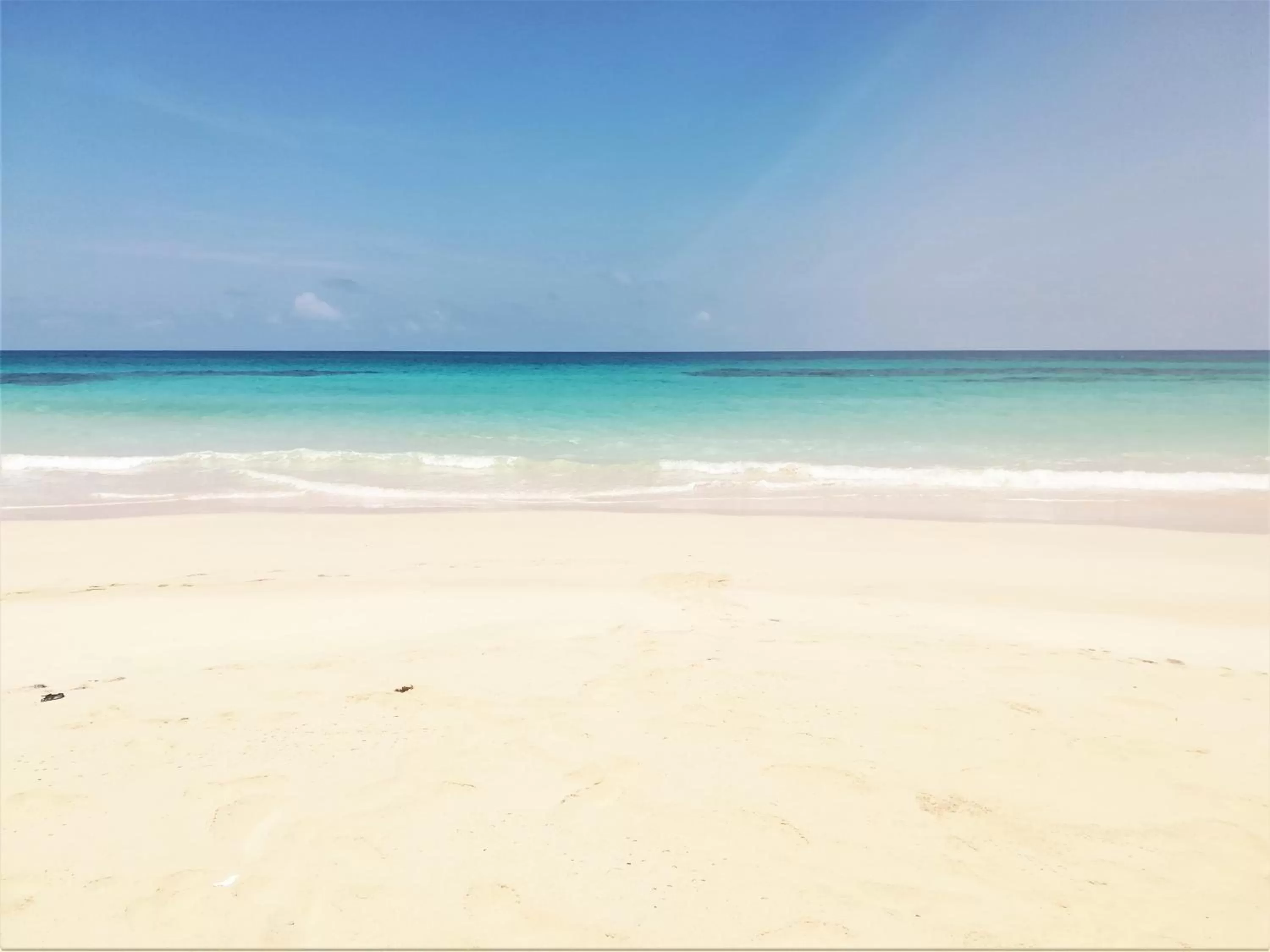 Beach in TOGA GUEST HOUSE