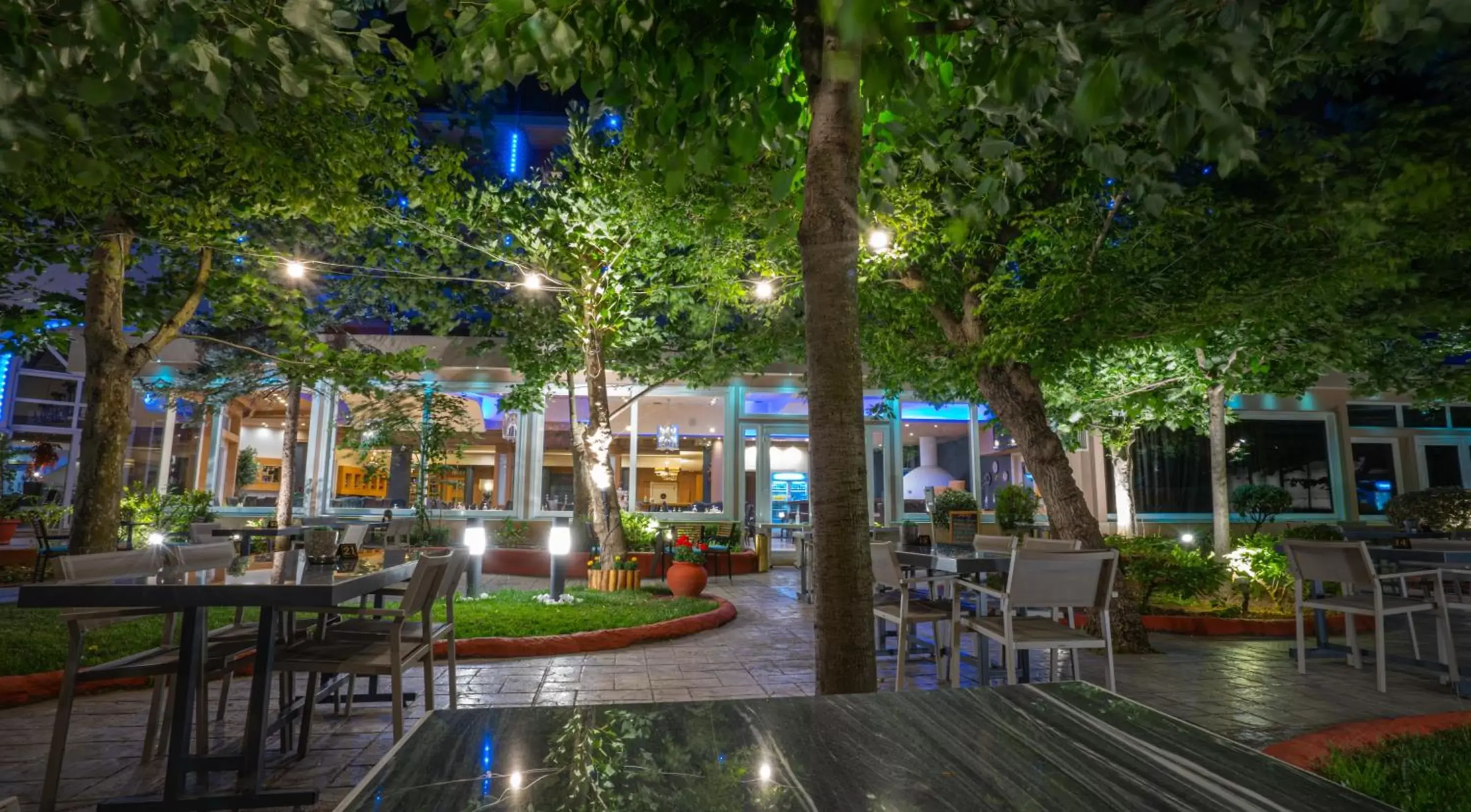 Garden in Hotel Pantelidis