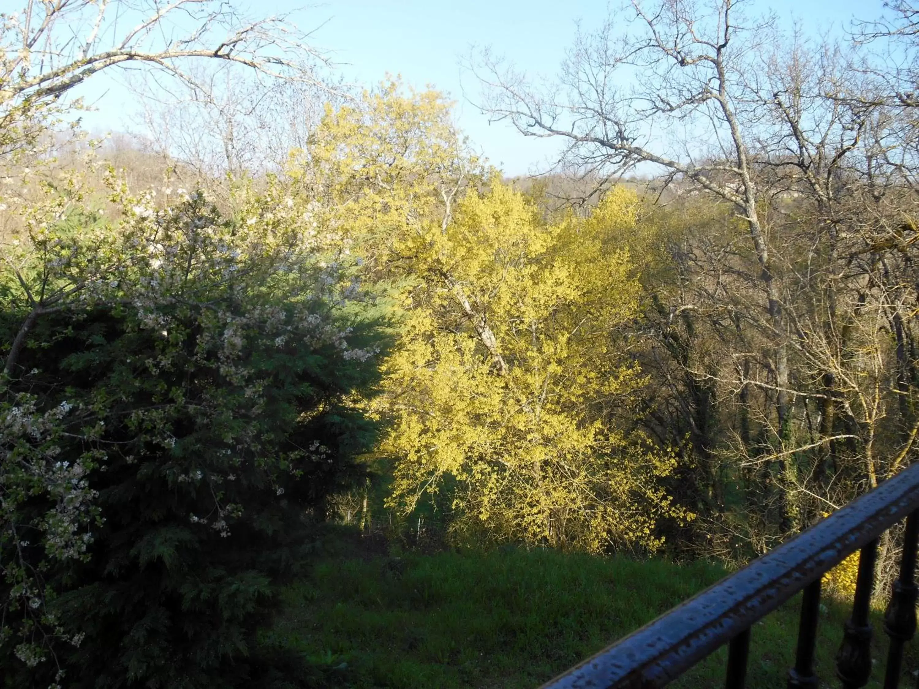 Garden view in Le Colombier